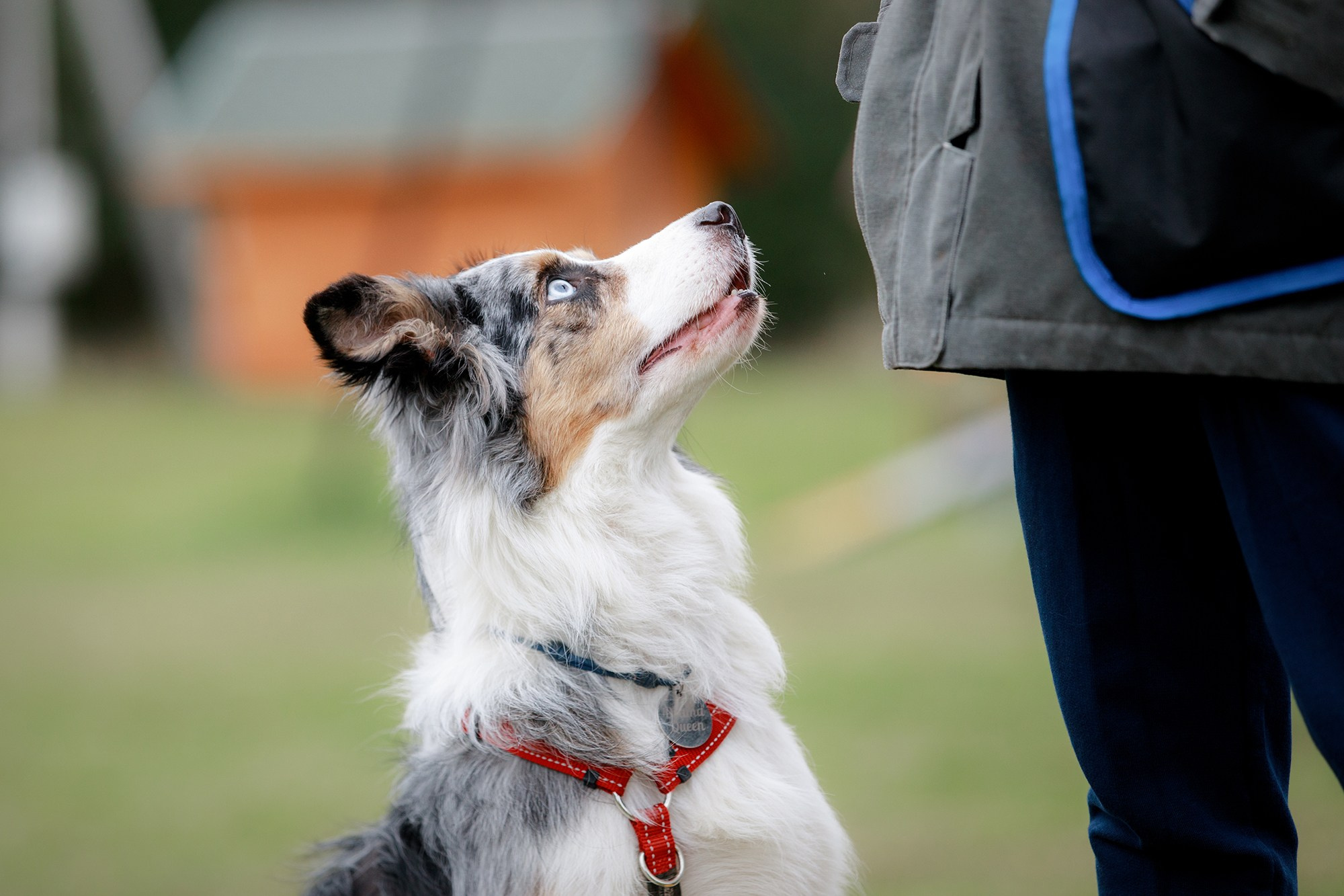 Лагерь по ОБД с Инной Баженовой. Фотограф-анималист Mary Mart — Москва, Питер