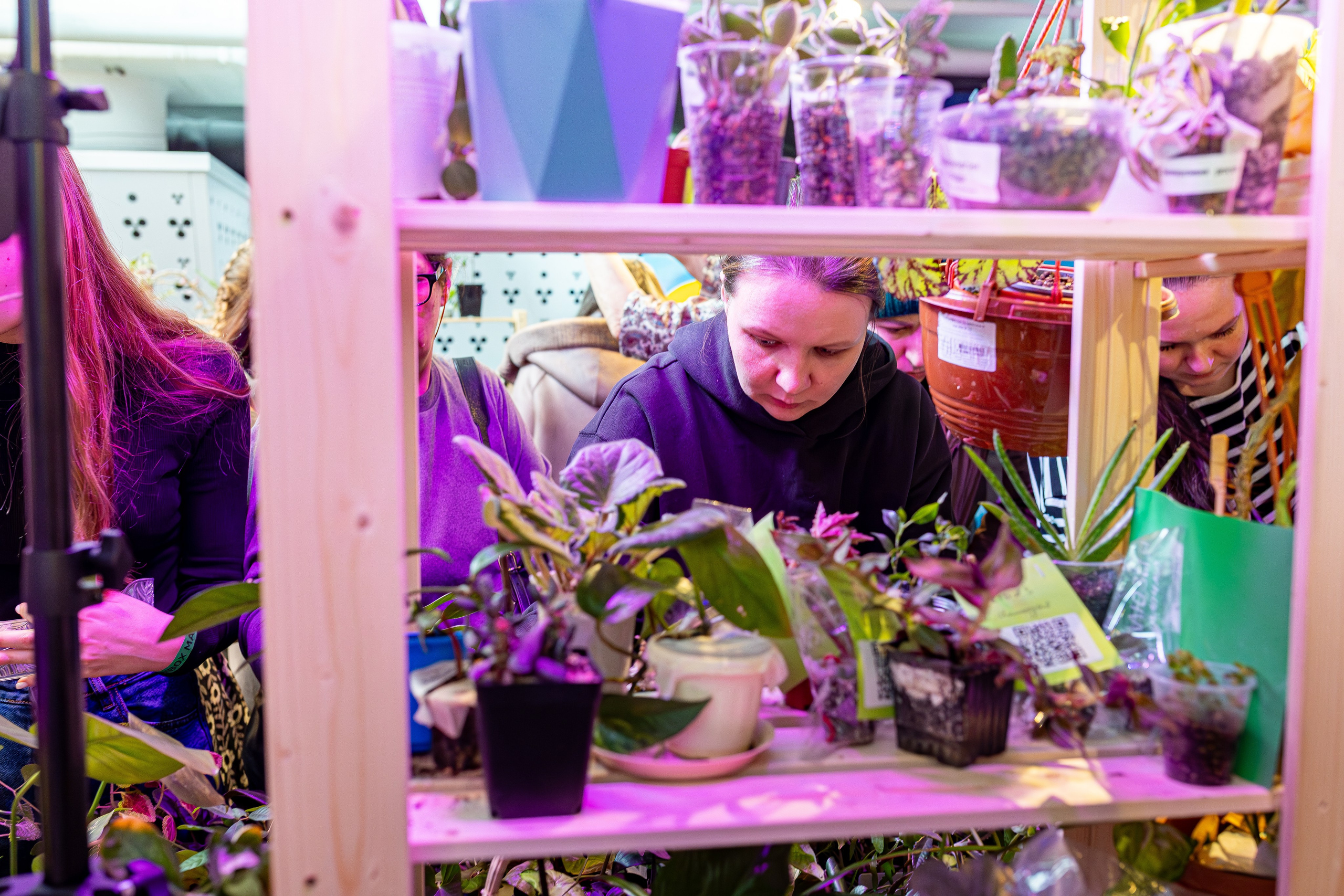 Growbox 1–2 марта. Александра Куликова фотограф, Москва