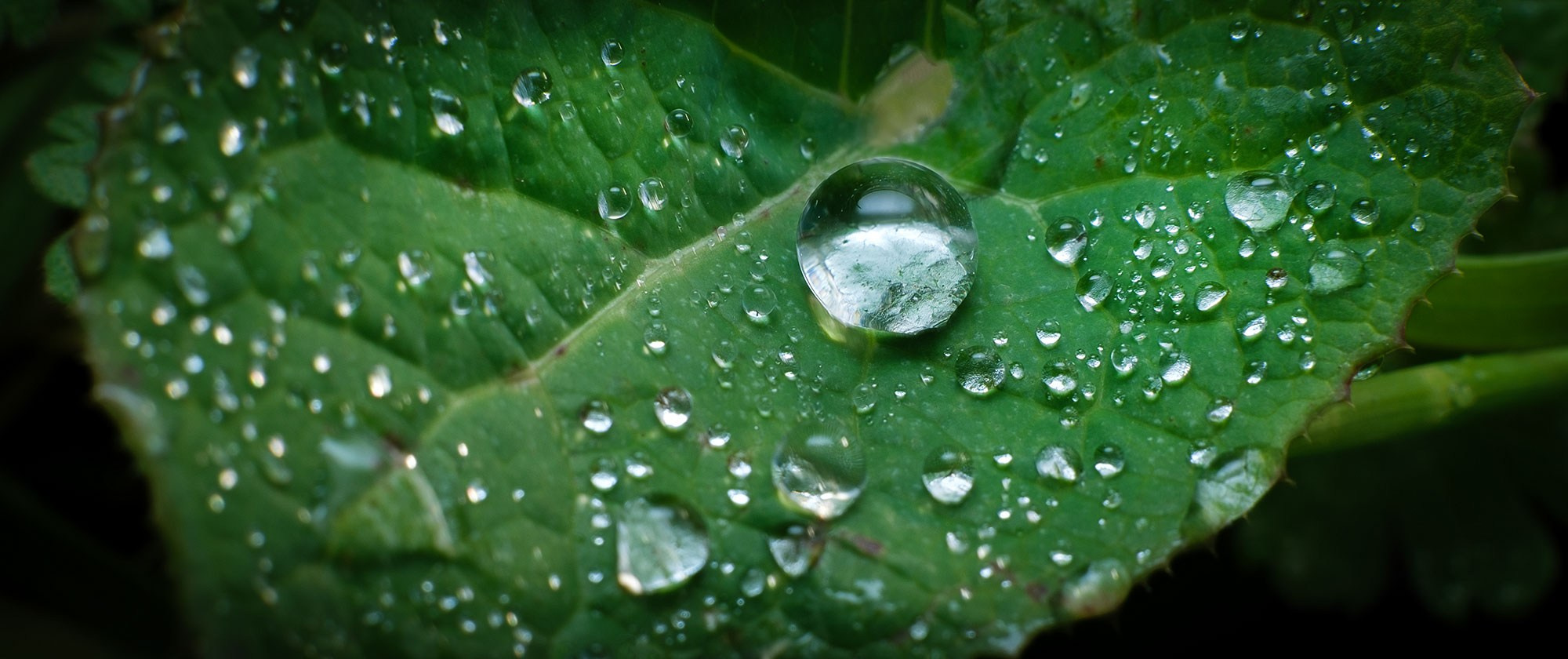фотограф в Геленджике, фотограф Геленджик