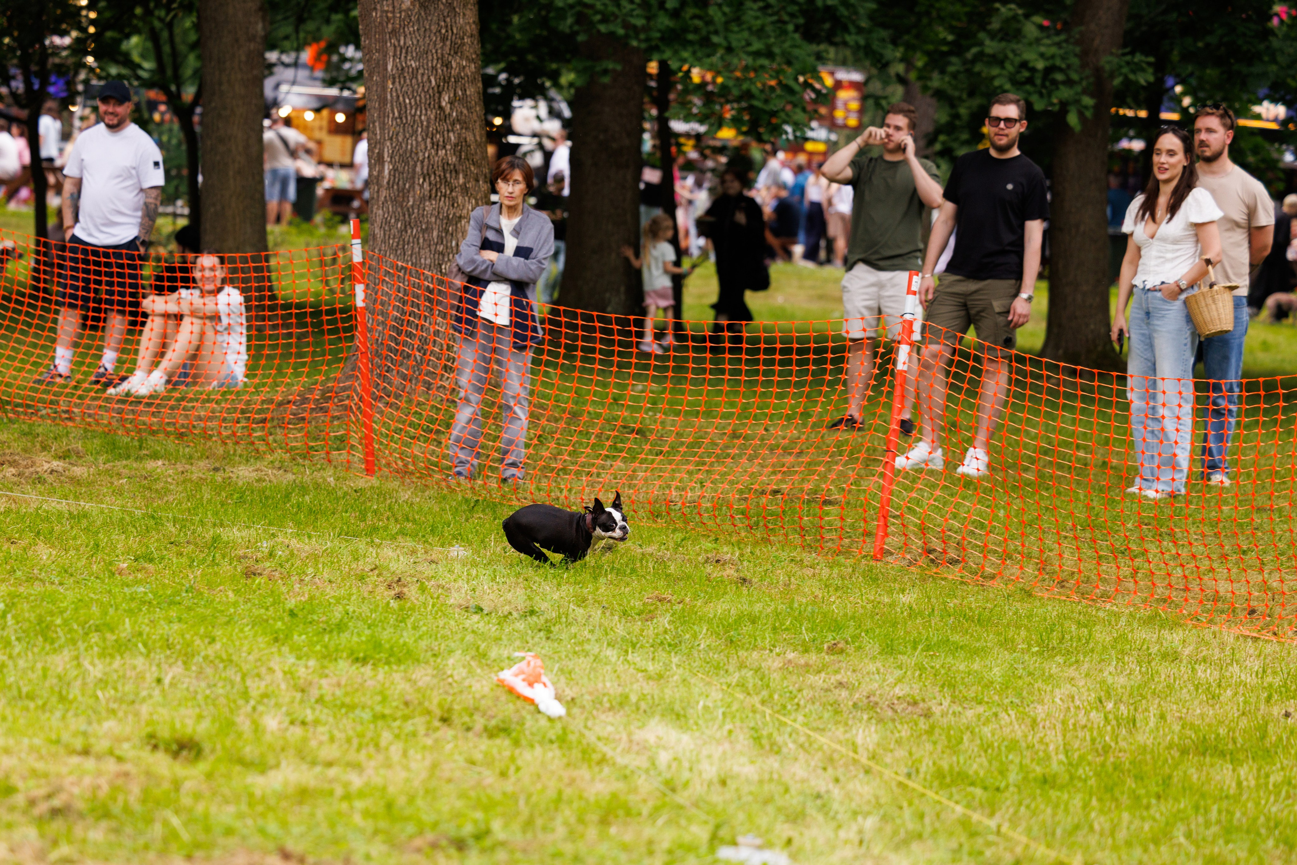 PetShopDays2026. Фотограф Александр Заломаев