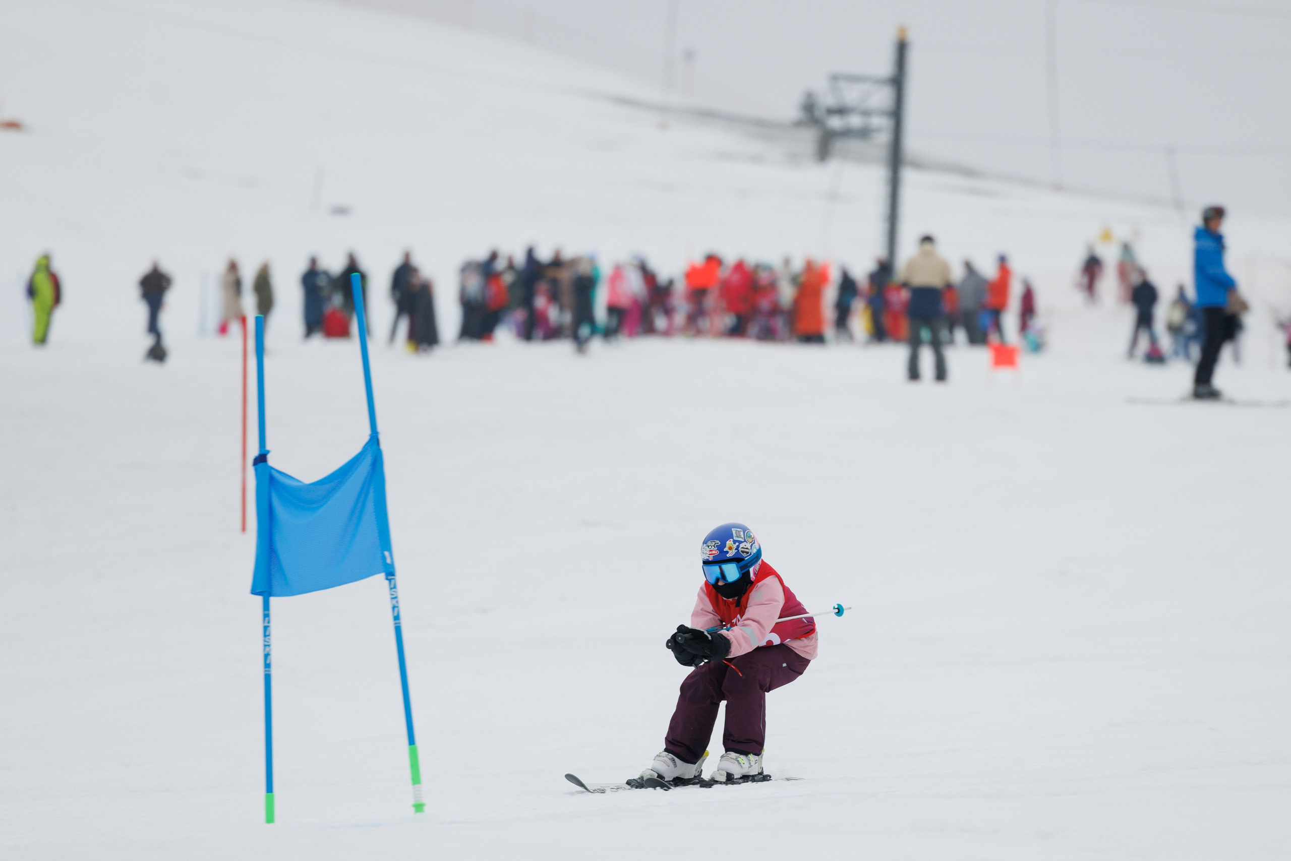 IGORA KIDS CUP 2024(spring). Фотограф Александр Заломаев
