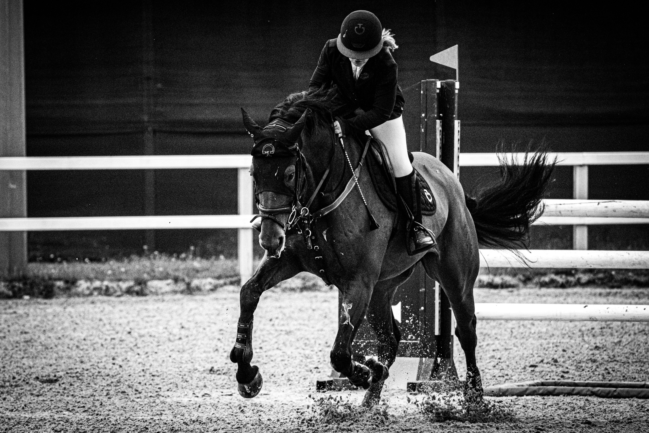 Лошади Евы Демидовой. Ева Демидова. Спортсмен по конкуру в Санкт-Петербуре