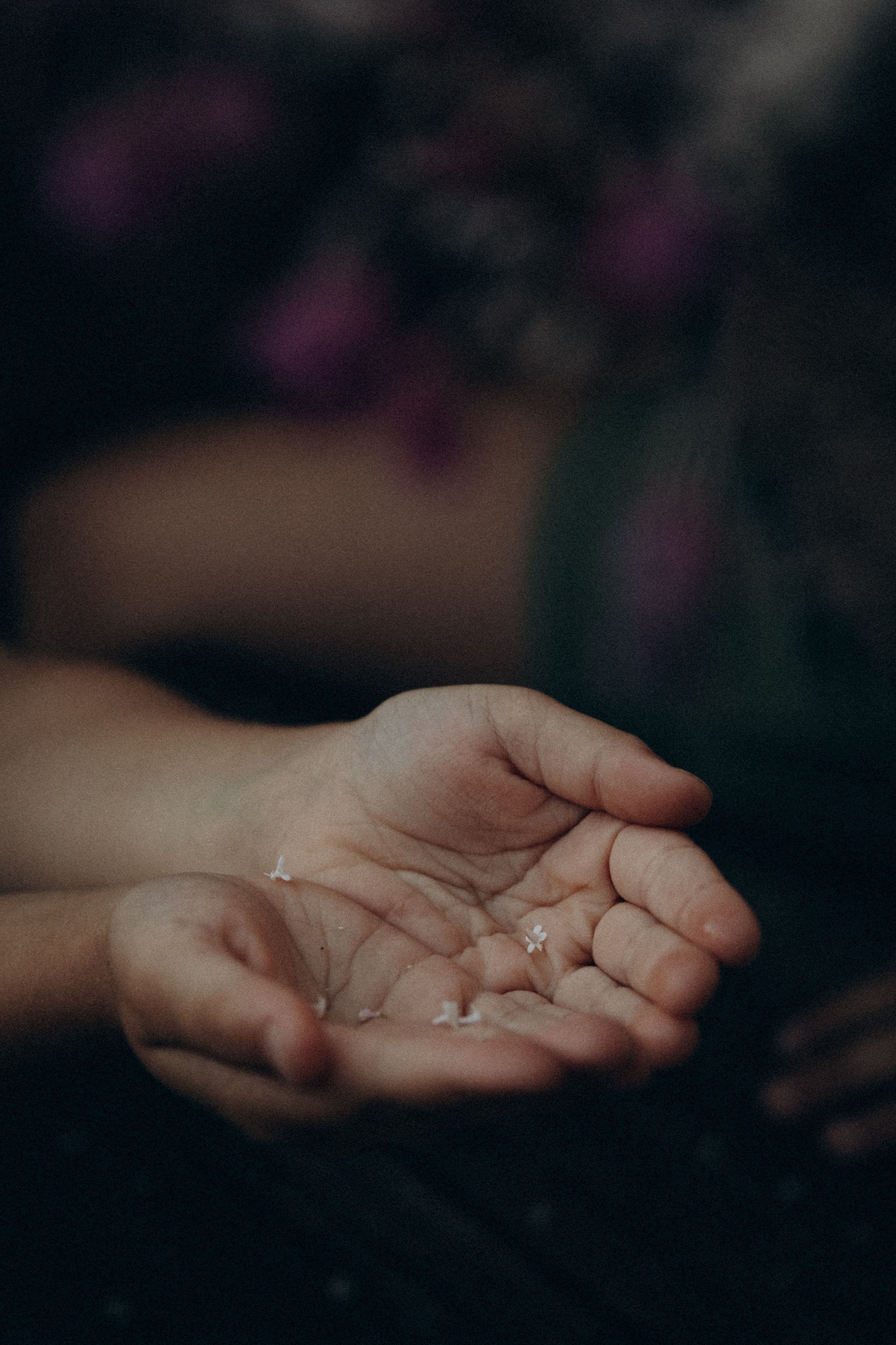 Вечер в саду. Фотограф  Челябинск Варвара Шарапова