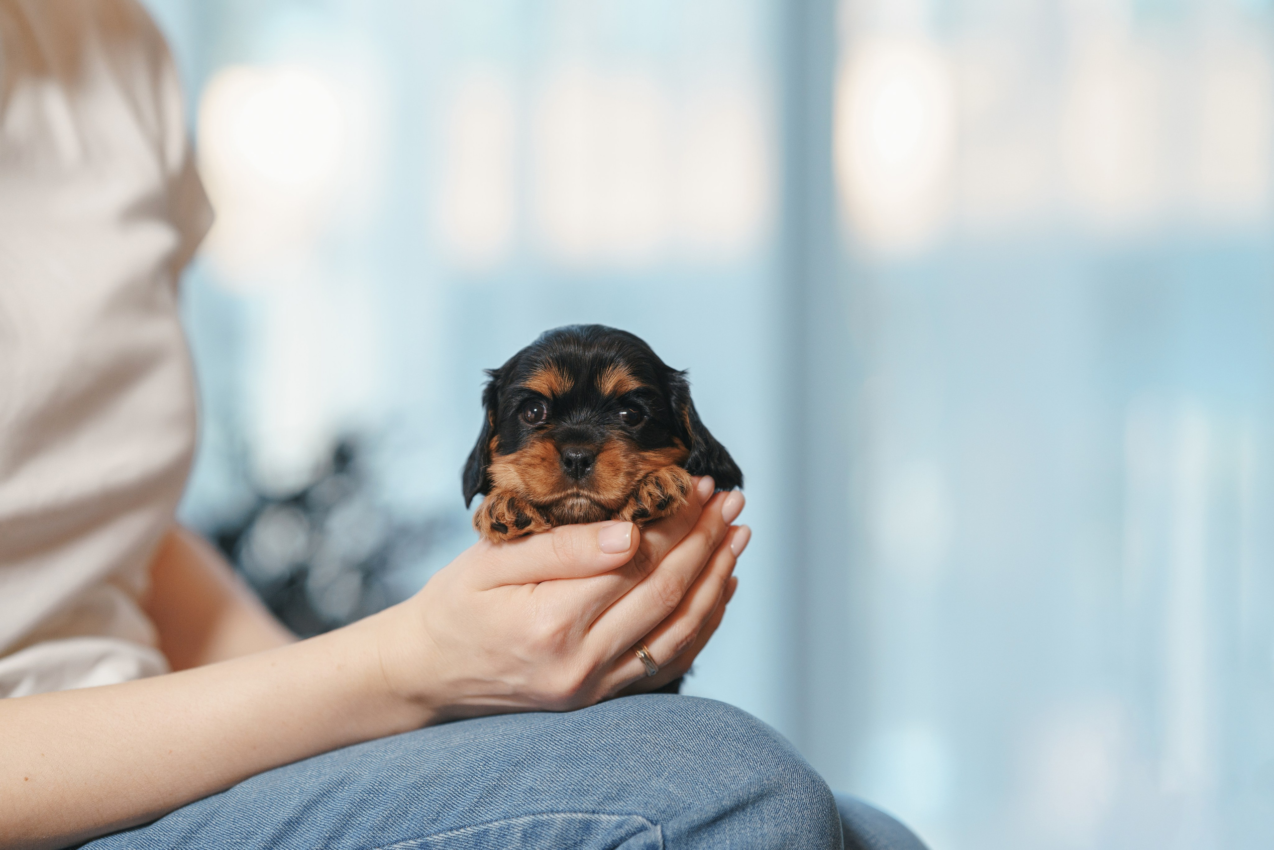ККЧС. Фотограф анималист Осипчикова Мария