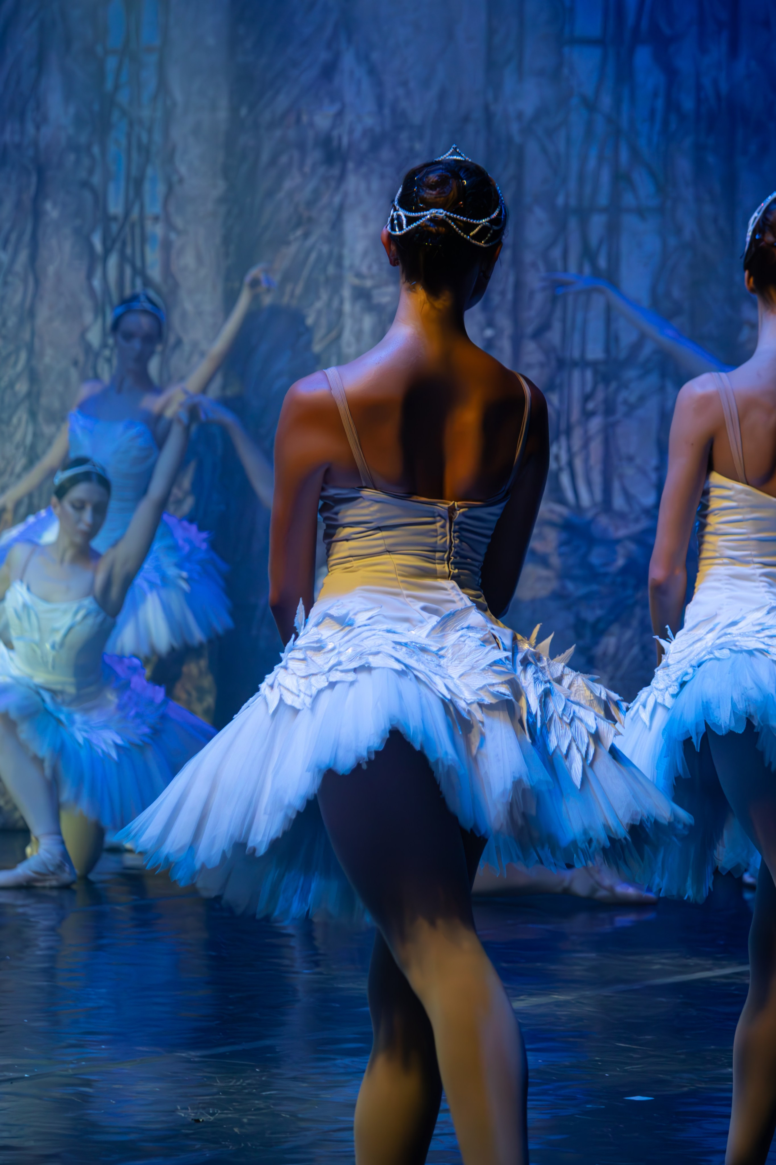 Лебединое озеро. Имперский русский балет. Фотограф в Нижнем Новгороде Екатерина Хисматулина