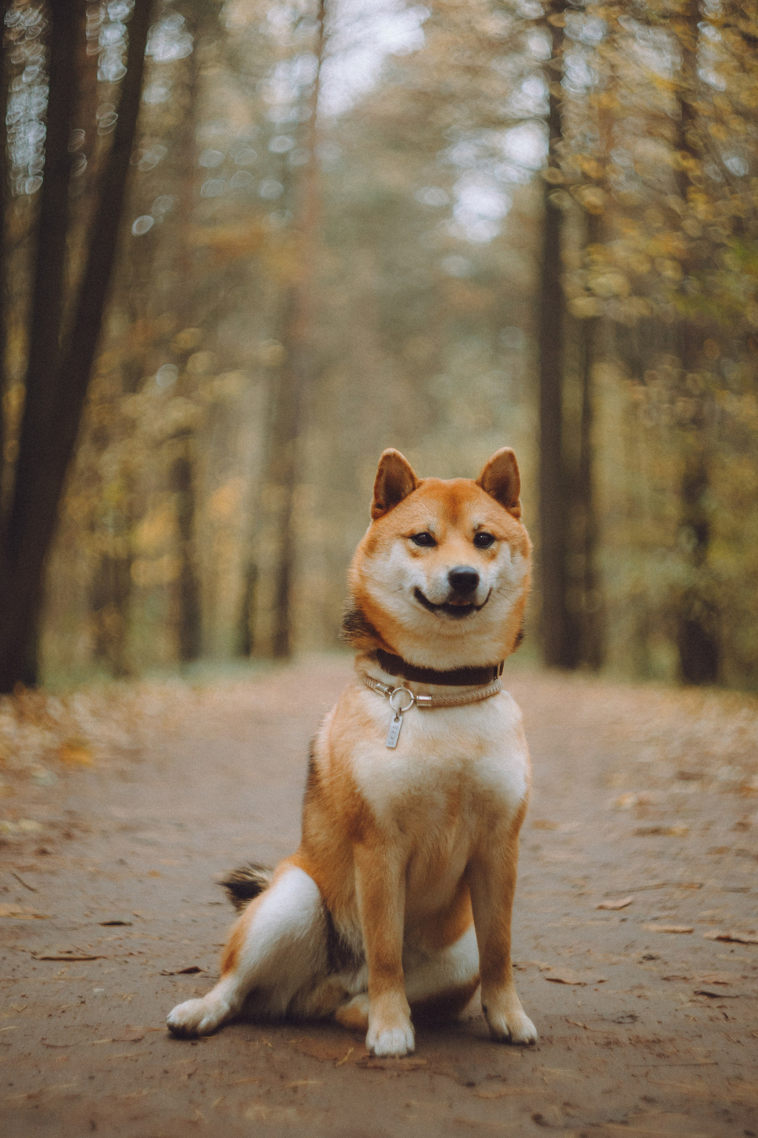 Настя, Юра и Скай