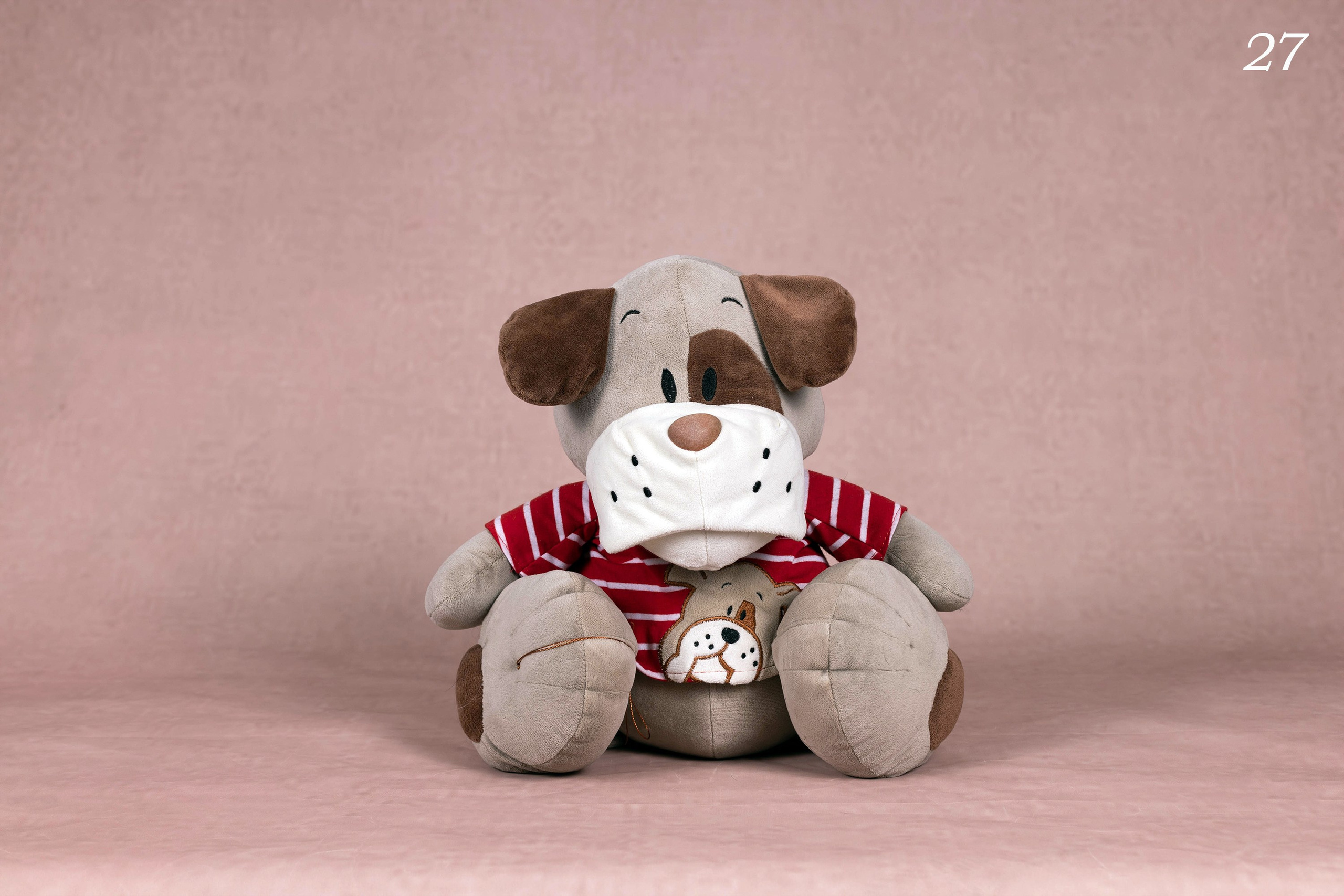 Пастельные фоны. Фотограф-анималист в Омске Екатерина Маричева