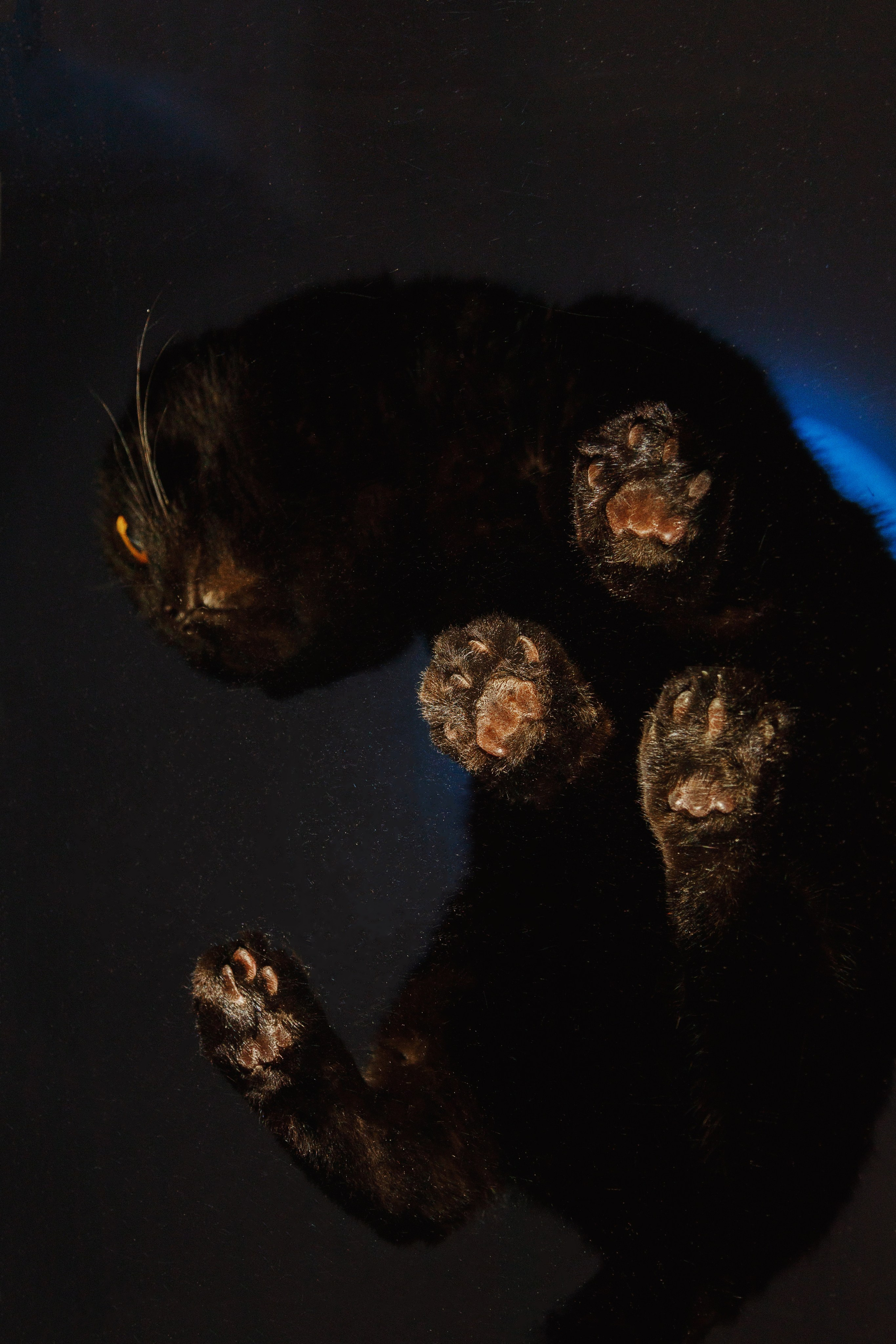 Проект «366»|2024|Фото каждый день. LENA GRACE photographer ||ЛЕНА ГРЭЙС фотограф