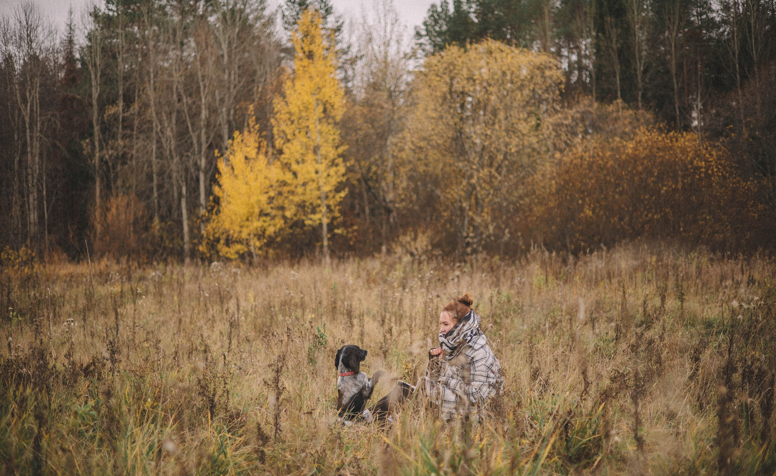 Вика и Ава. Фотограф-анималист Богданова Полина