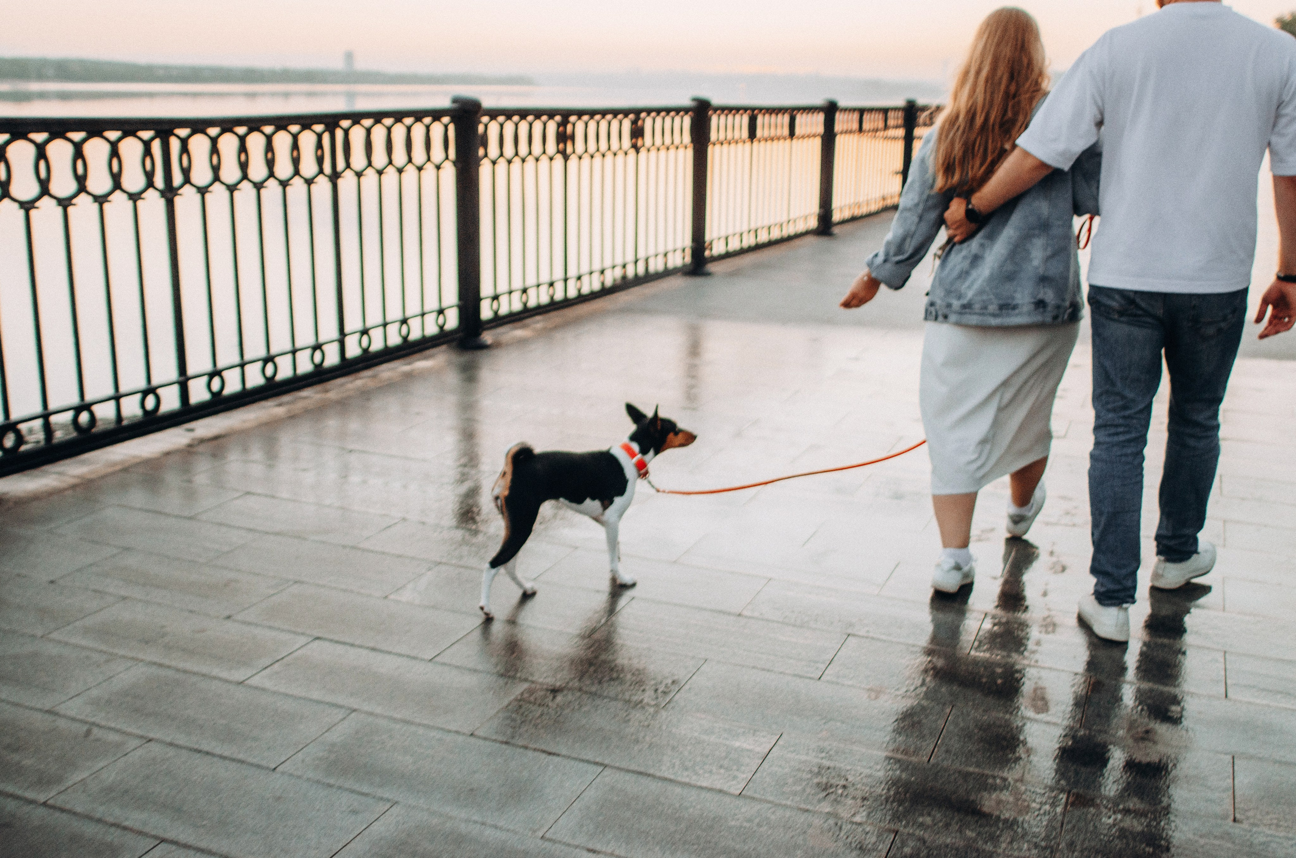 Лена, Никита и Эсма. Фотограф-анималист Богданова Полина