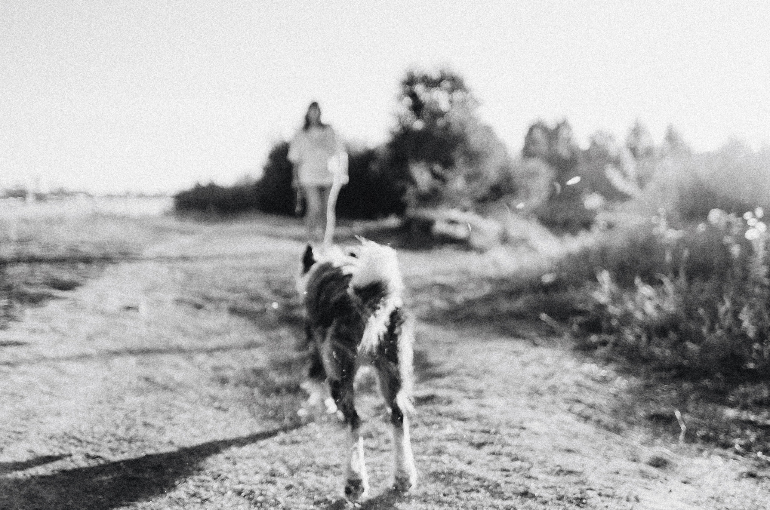 Таня и Бриллиант. Фотограф-анималист Богданова Полина