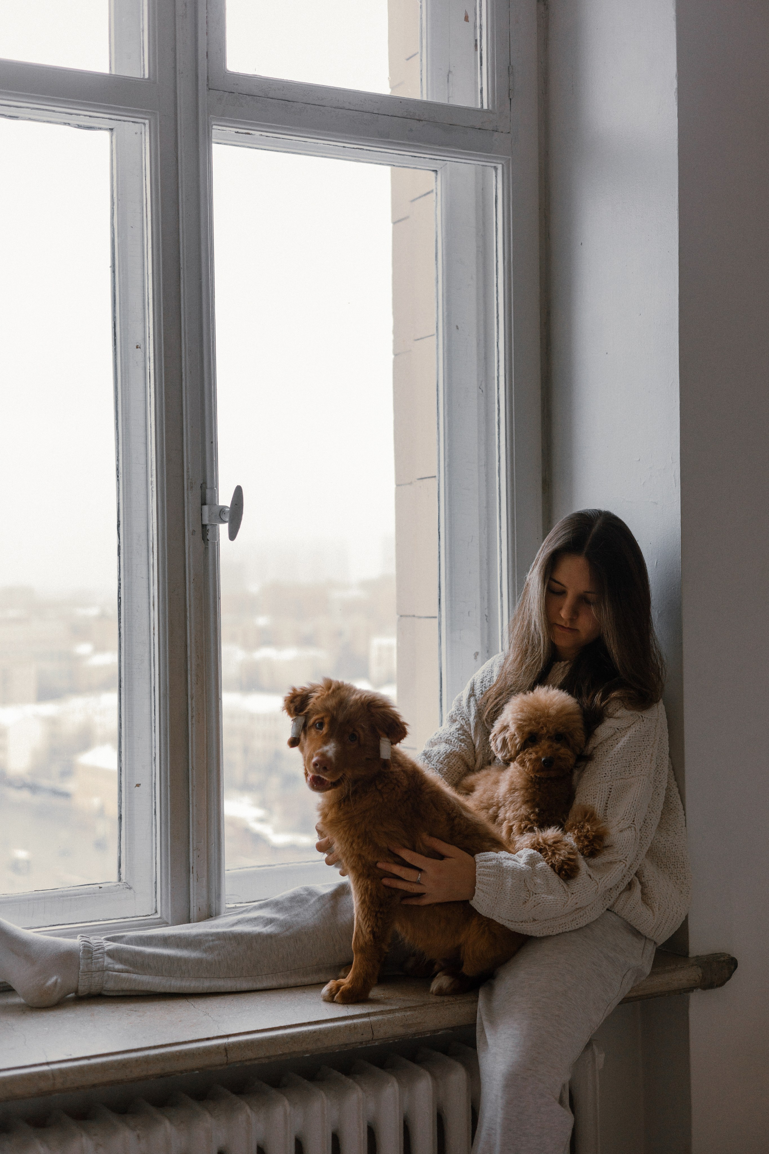 Маша, Одди и Нэвил. Фотограф-анималист Богданова Полина