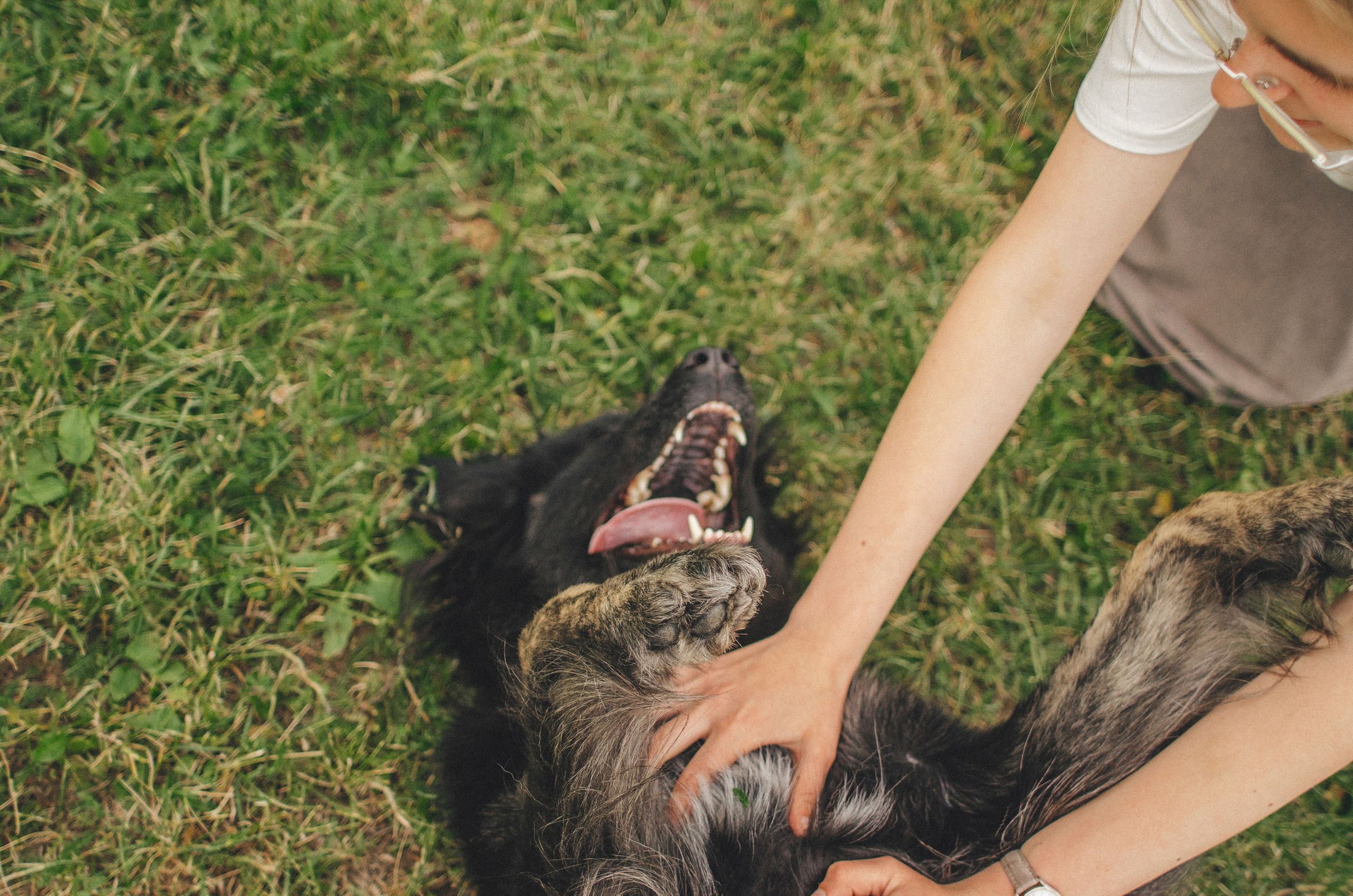 Анна и Марко. Фотограф-анималист Богданова Полина