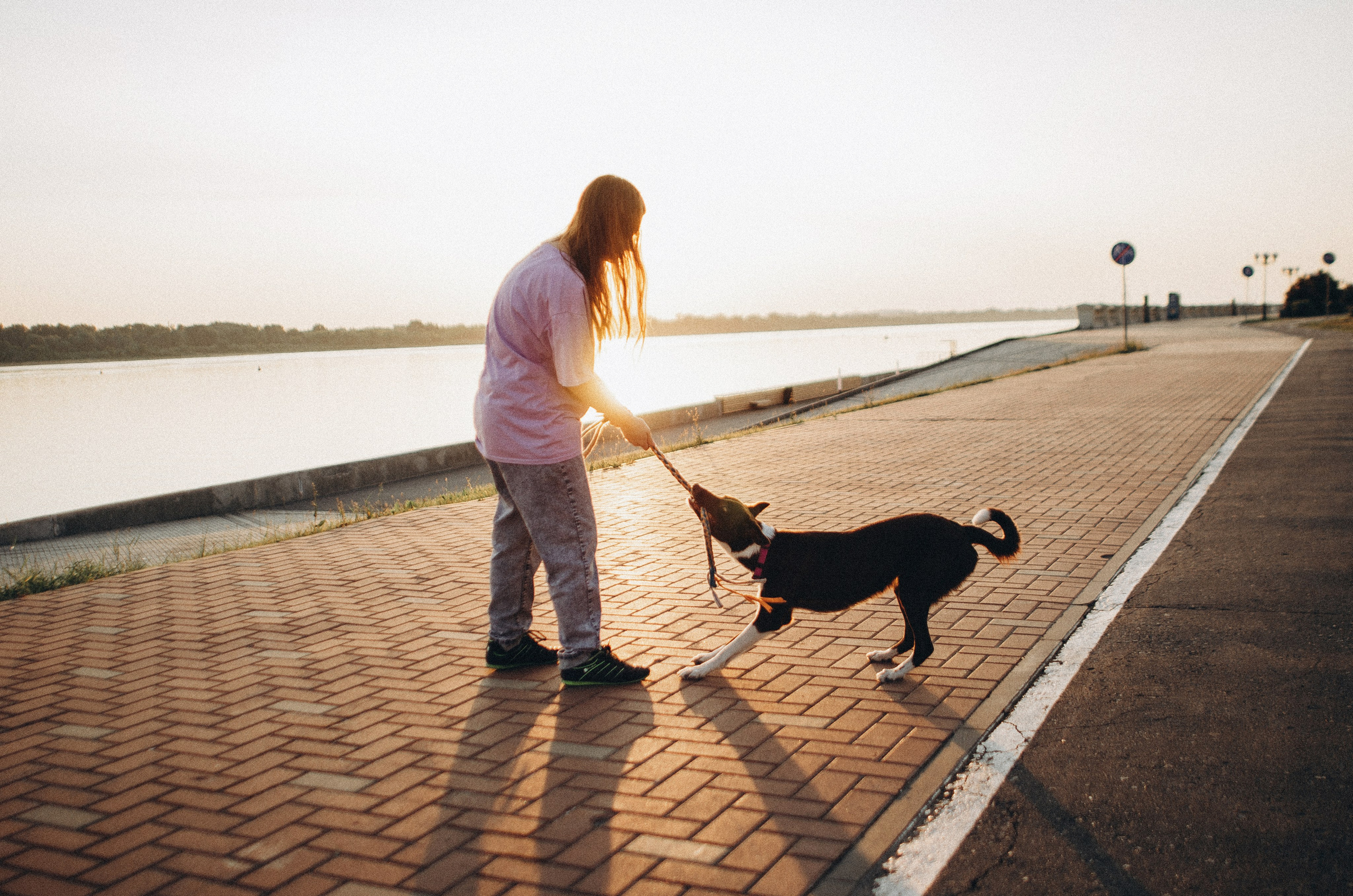 Вика и Эсса. Фотограф-анималист Богданова Полина