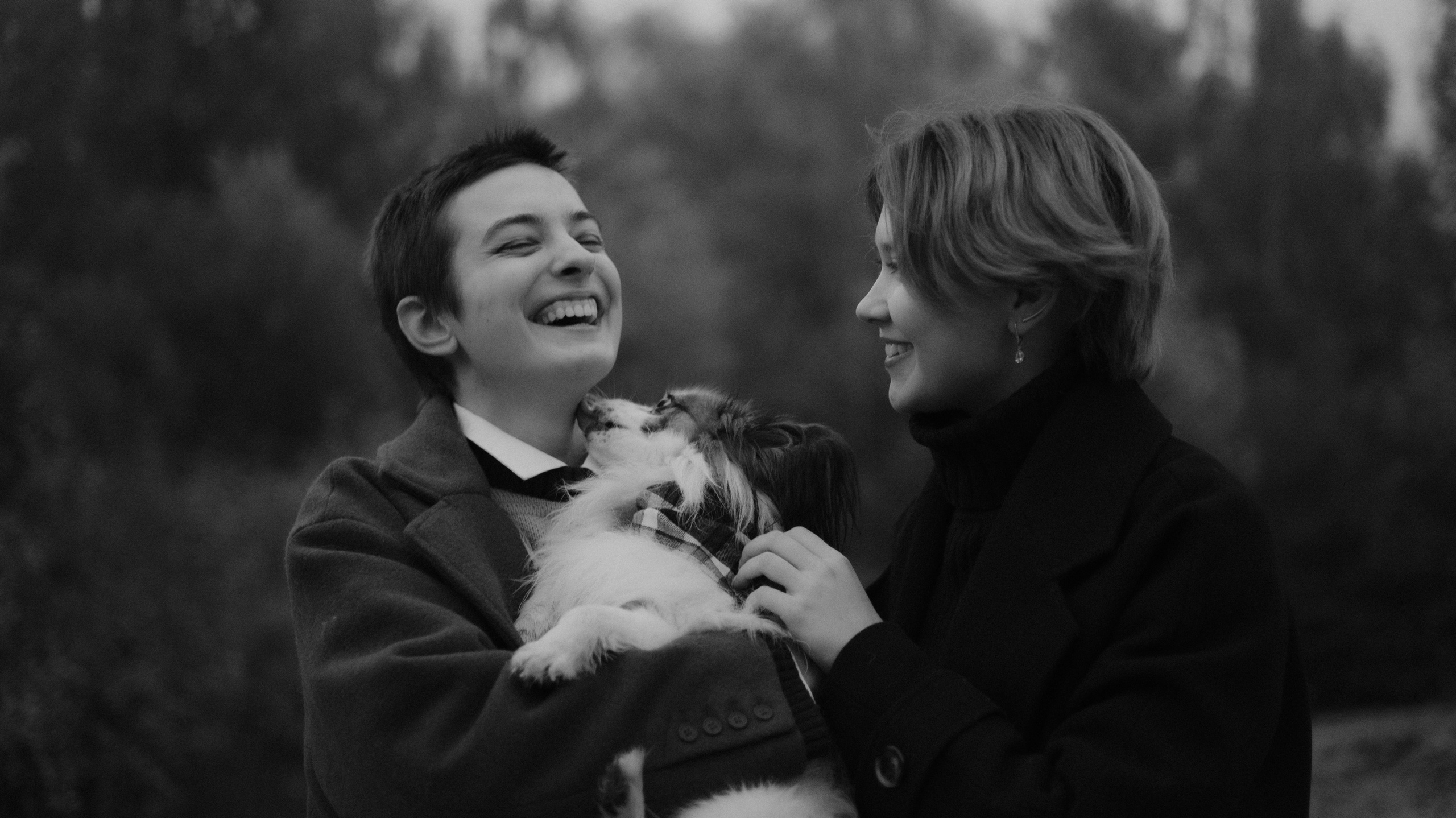 Маша, Катя, Астрид и Мася. Фотограф-анималист Богданова Полина