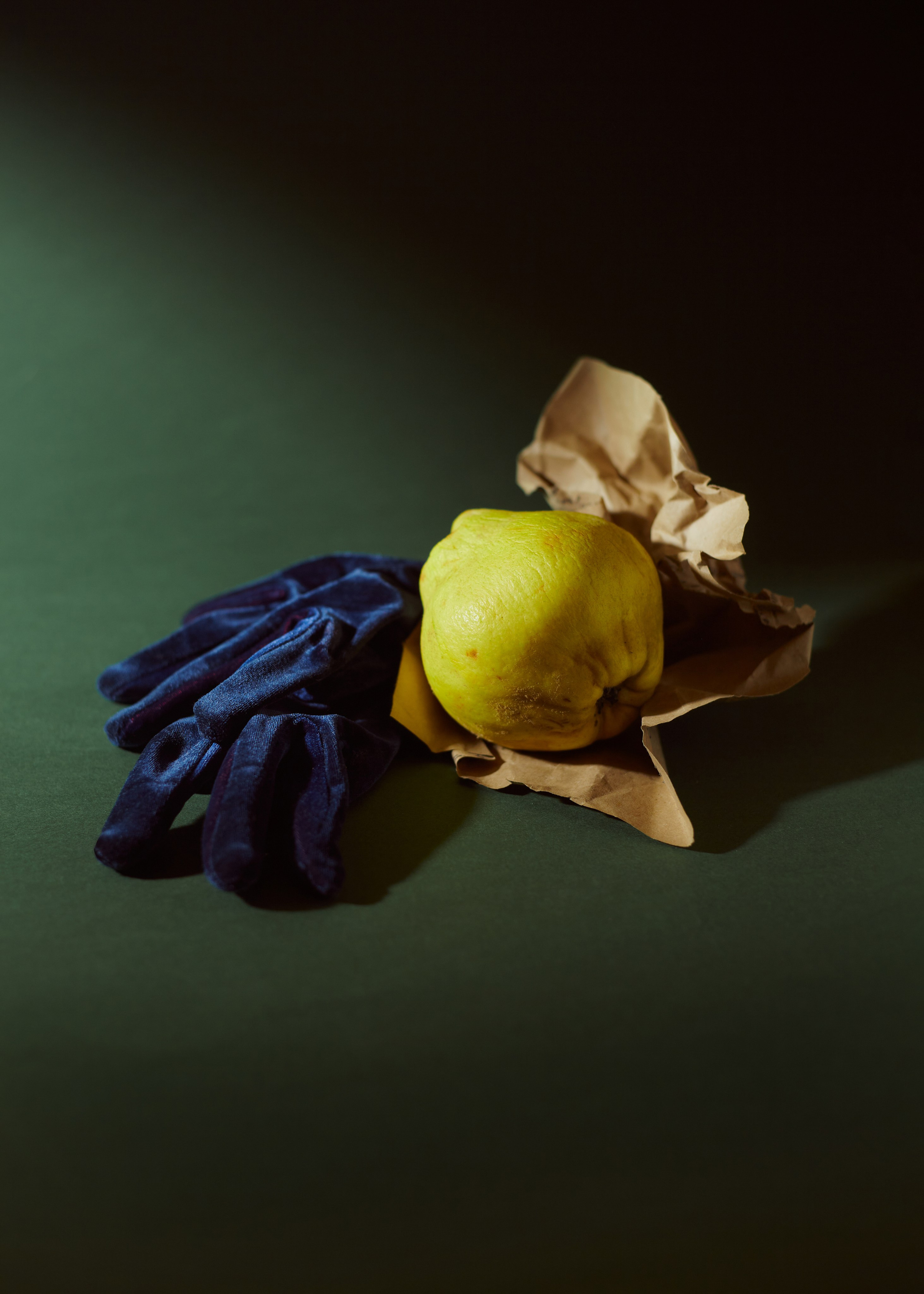 Интерьерные картины. Ангелина Журавлева Фотограф в Москве