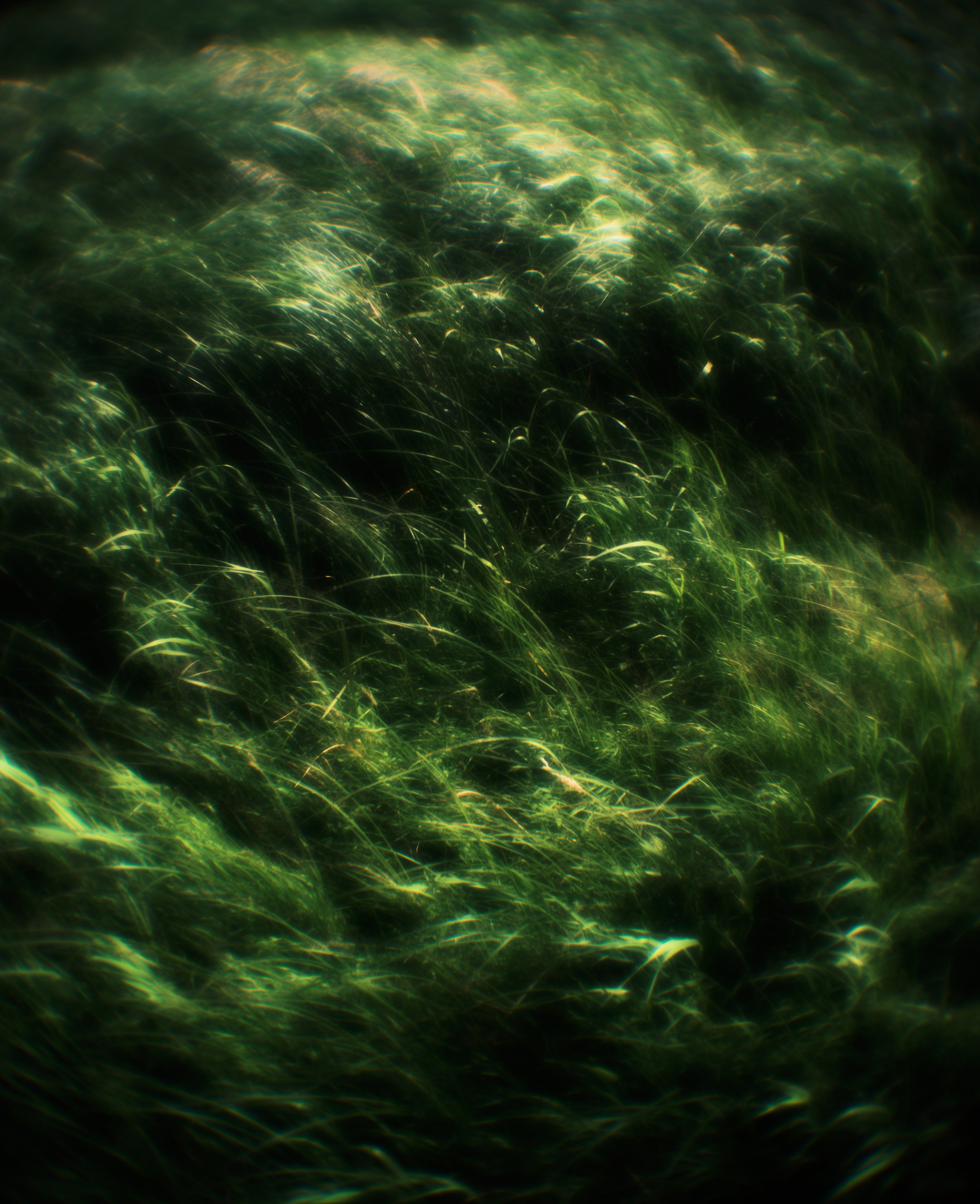 Фотограф Юлия Глазкова