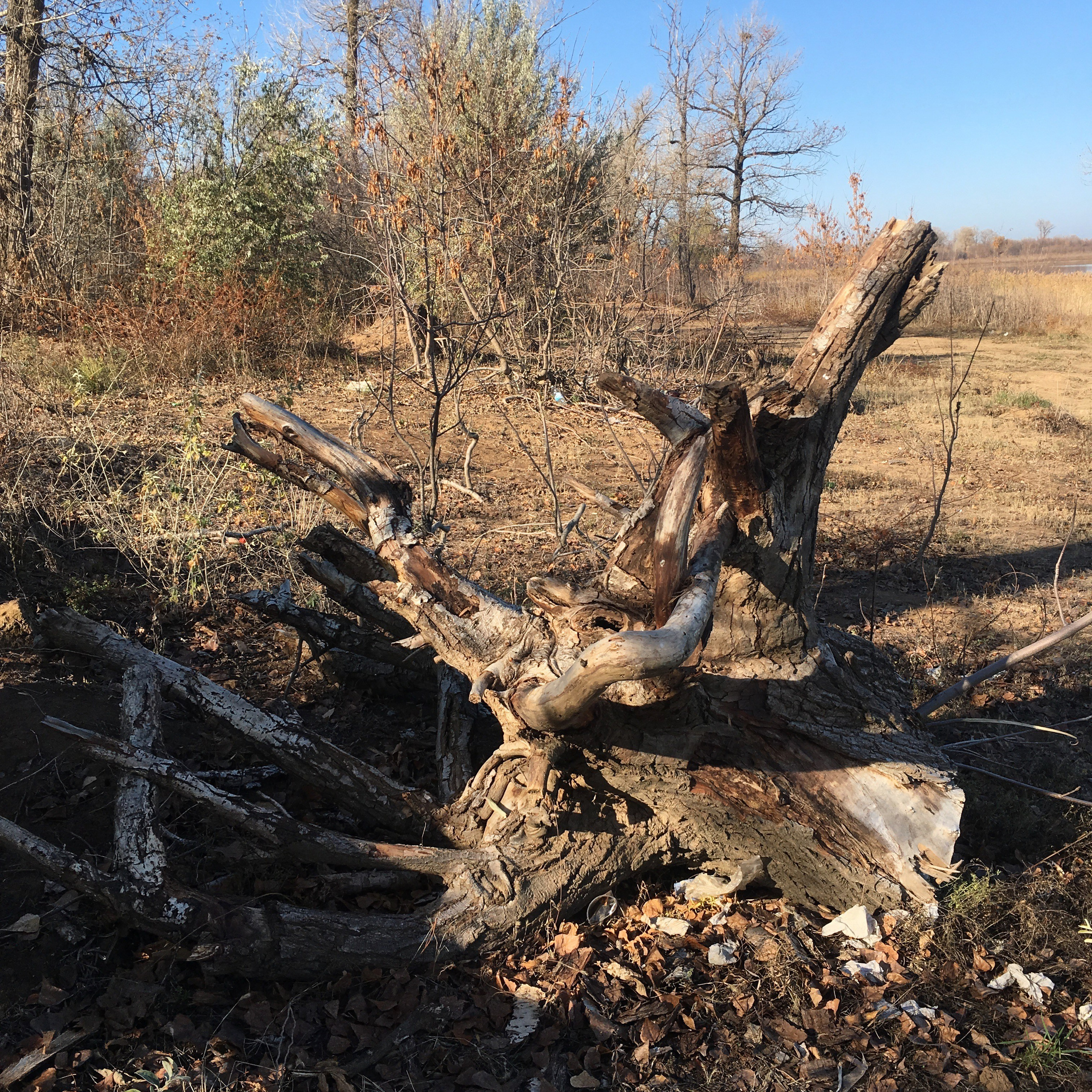 Астрахань-19. Своя Мастерская