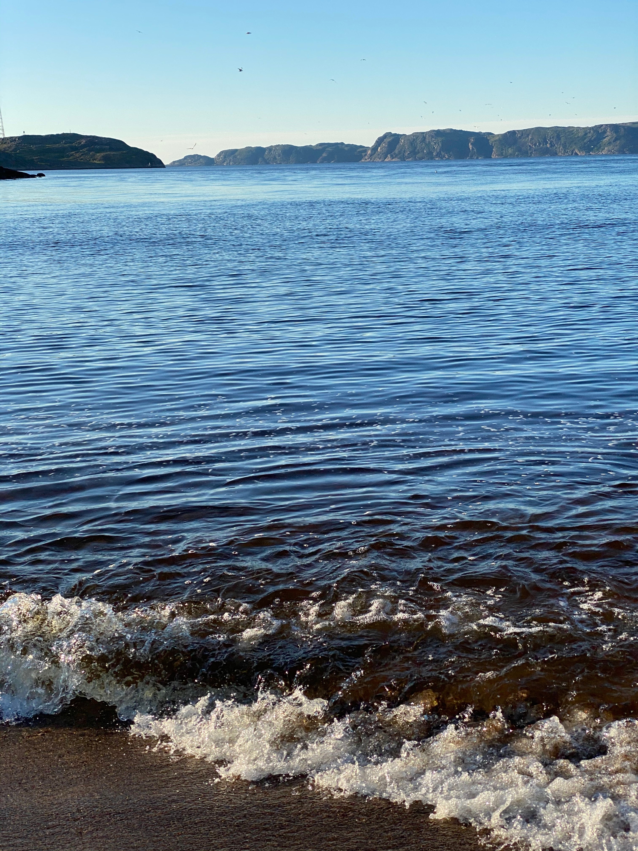 Териберка — 20. Своя Мастерская