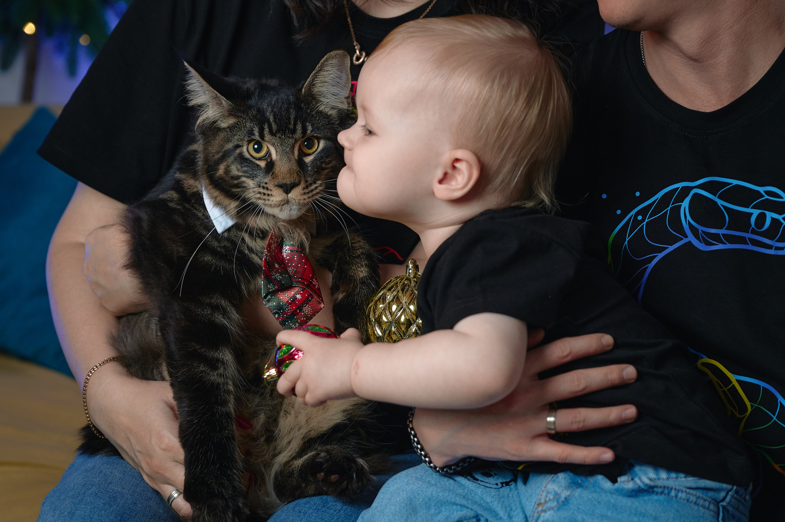 Галина и семья. Фотограф Опыт Качество Скорость Горный Алтай Барнаул