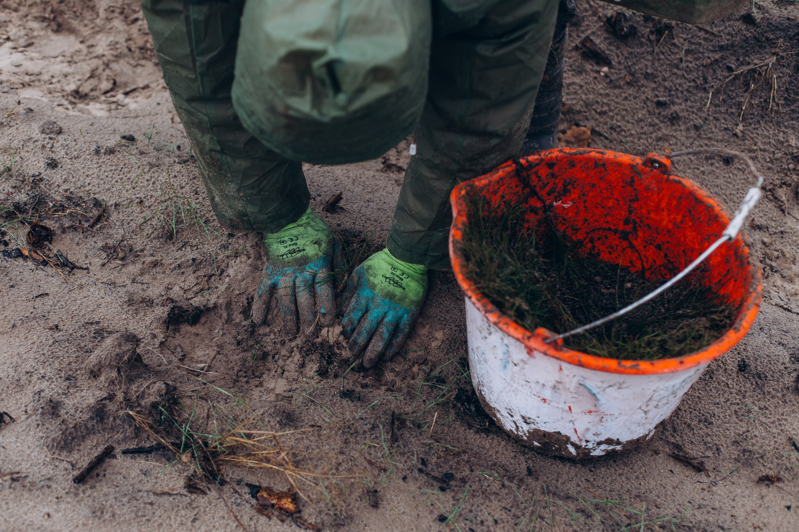 Посадка деревьев в Усть-Донецком районе. Артём Панфилов — Свадебный и семейный фотограф в Ростове-на-Дону