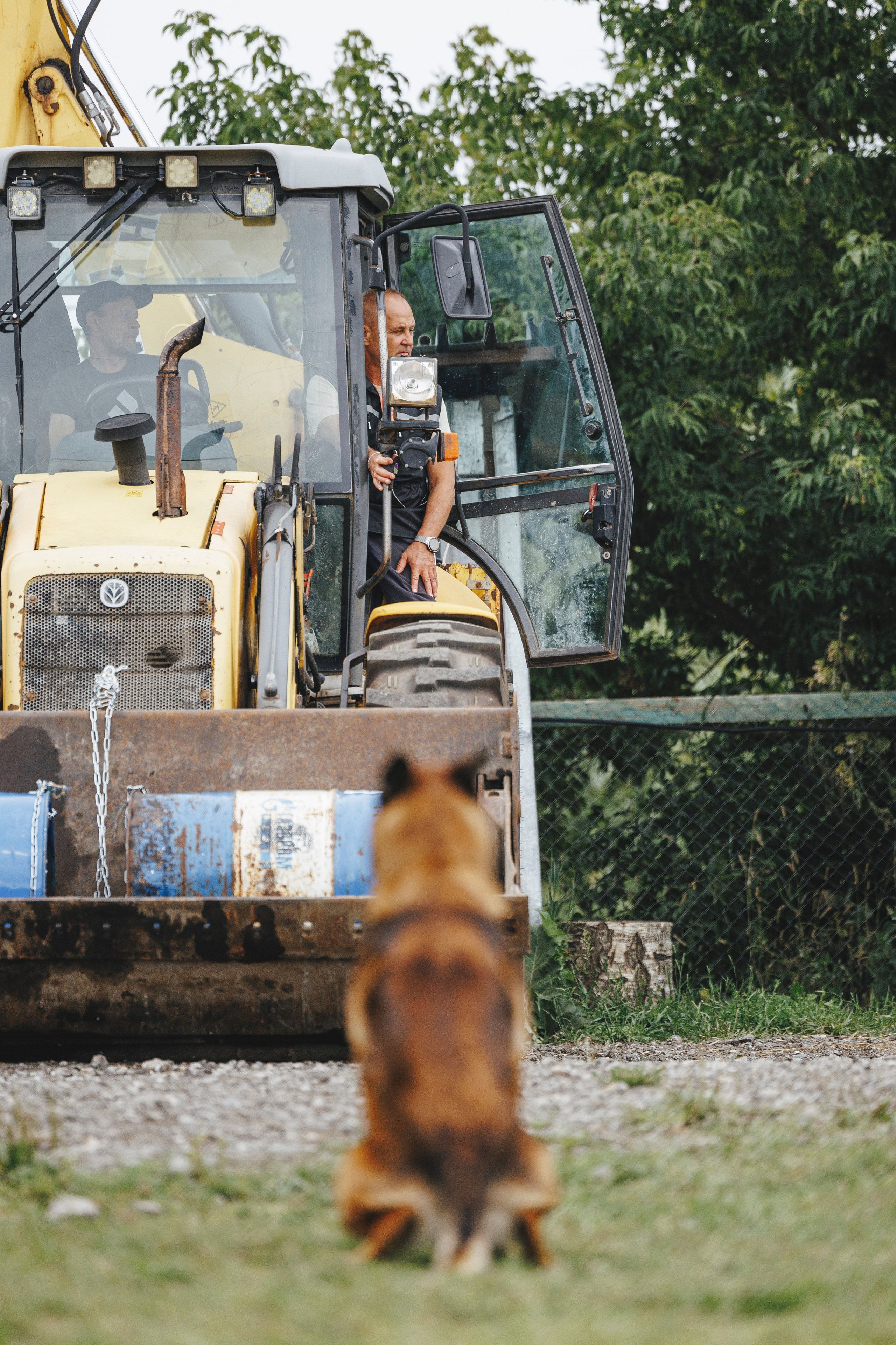 08.08.25-10.08.25 ЧР по мондьорингу г. Вологда. Фотограф-анималист Анна Маринич