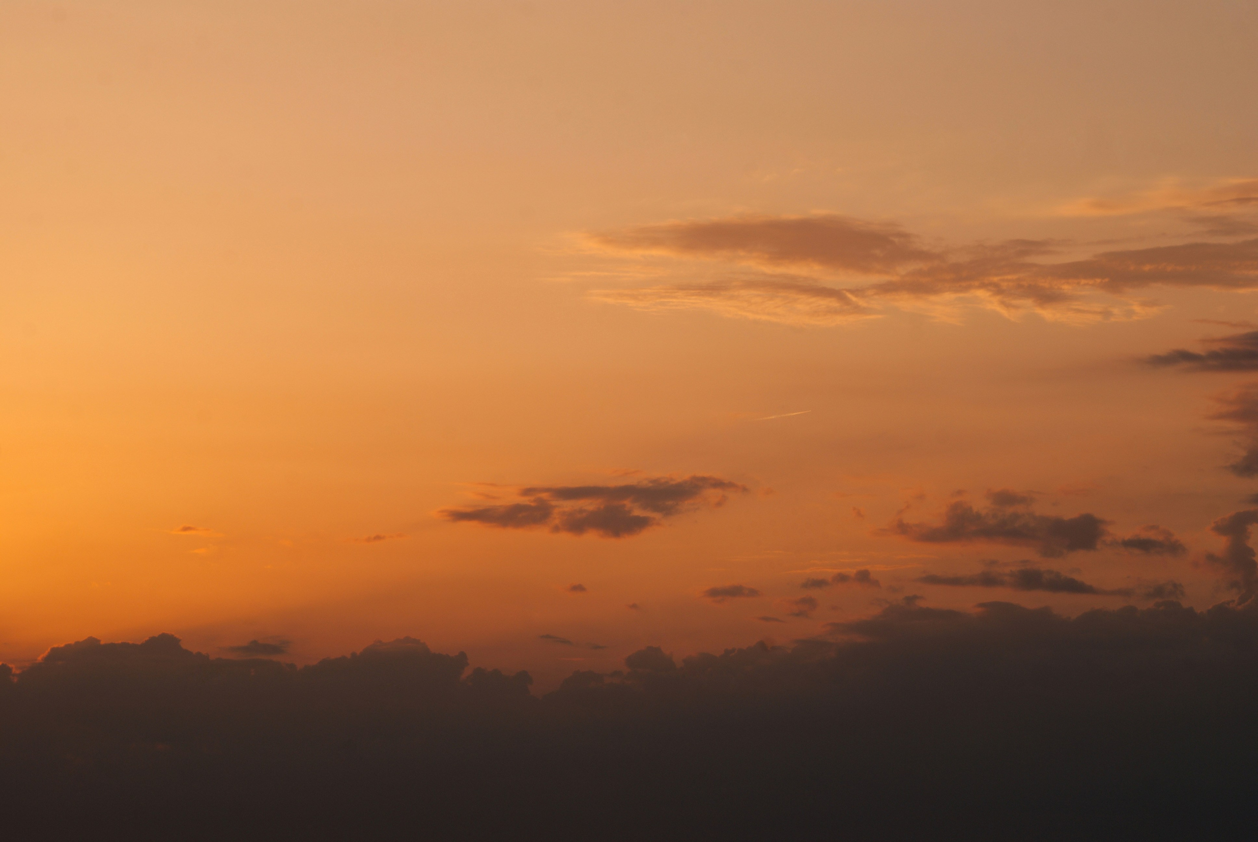 Этот прекрасный мир