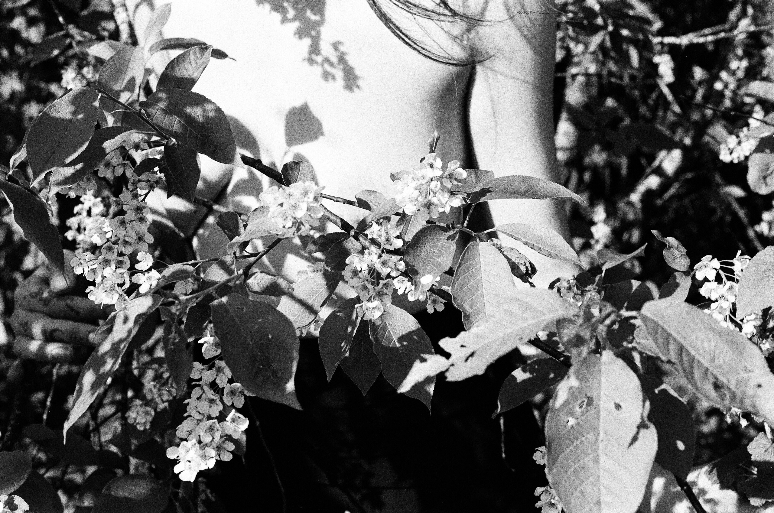 Крис. Мари Линёк-Стельмах Фотохудожник Санкт-Петербург/Урал