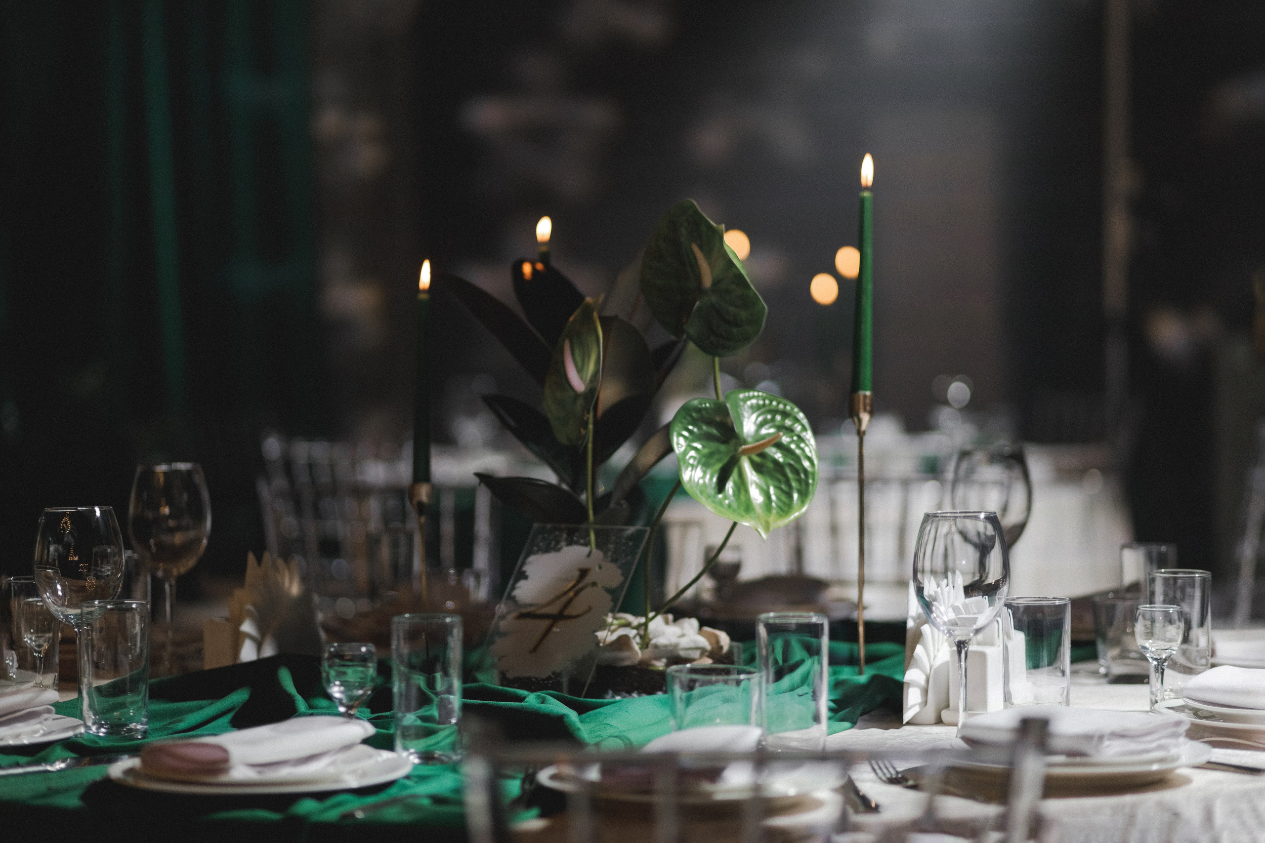 Artem|Dana. Фотограф Астана. Индивидуальные, парные и семейные фотосессии