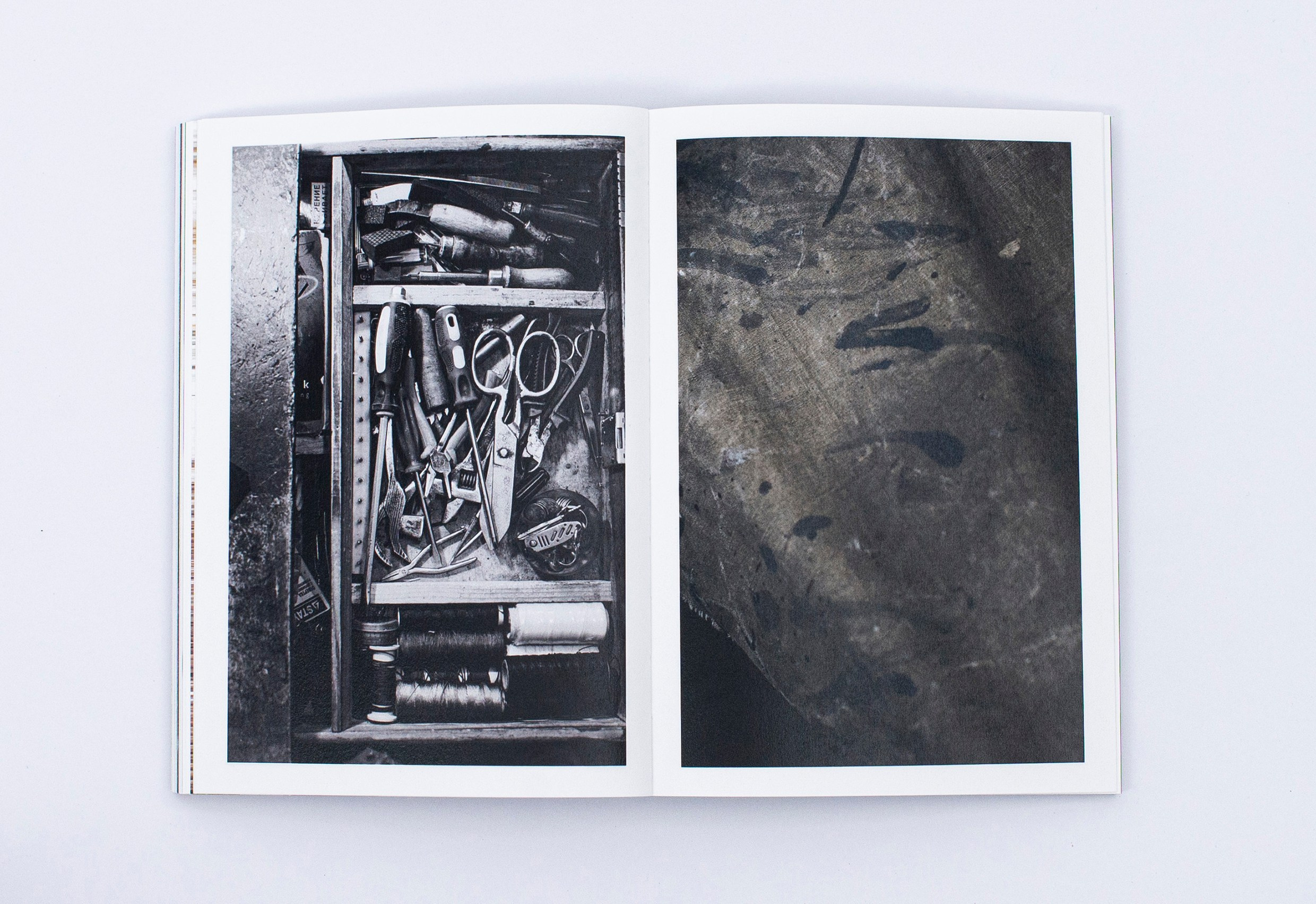 Книга. Фотограф в Москве Алейникова Евгения