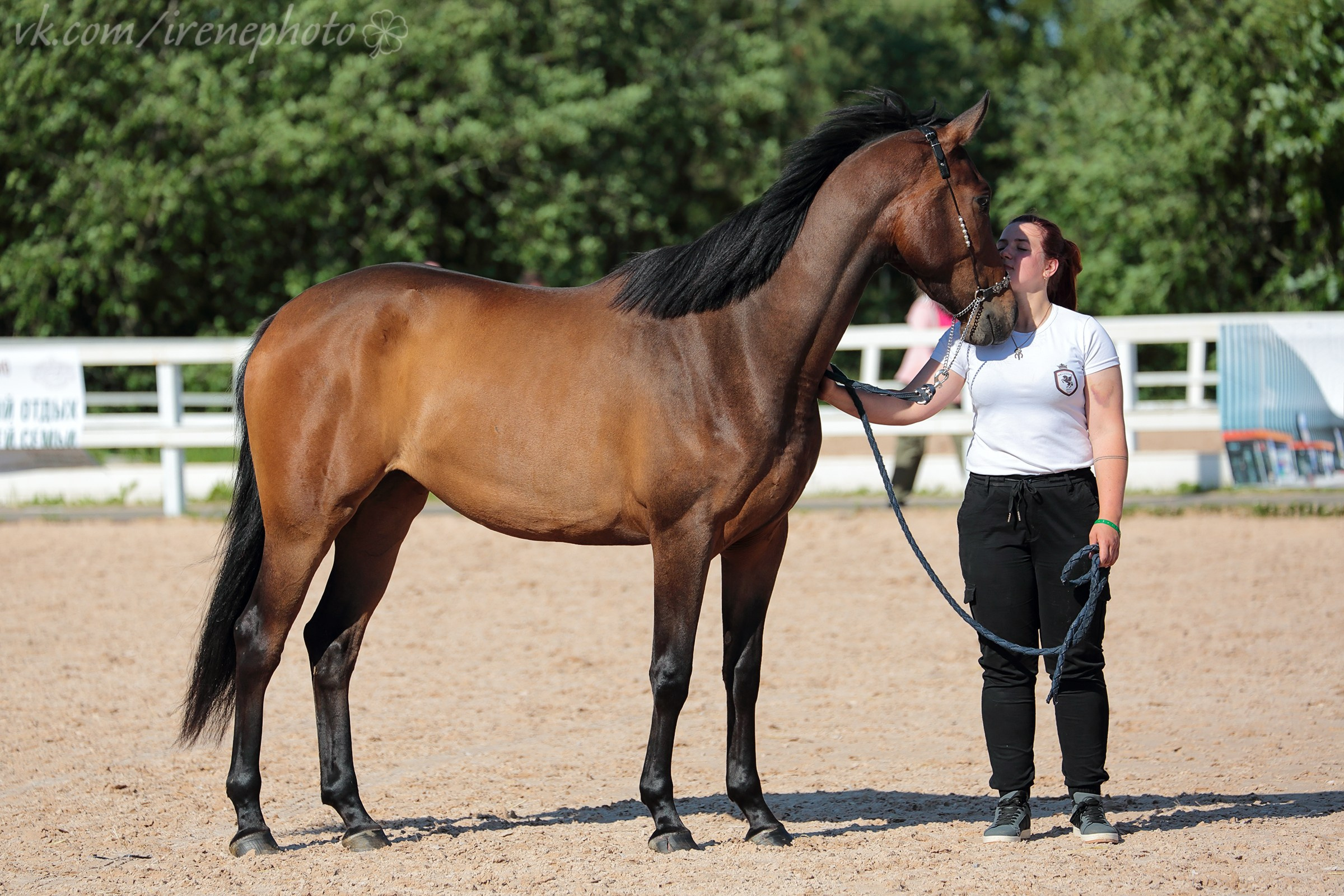Иппосфера 2024. Irenephoto.ru