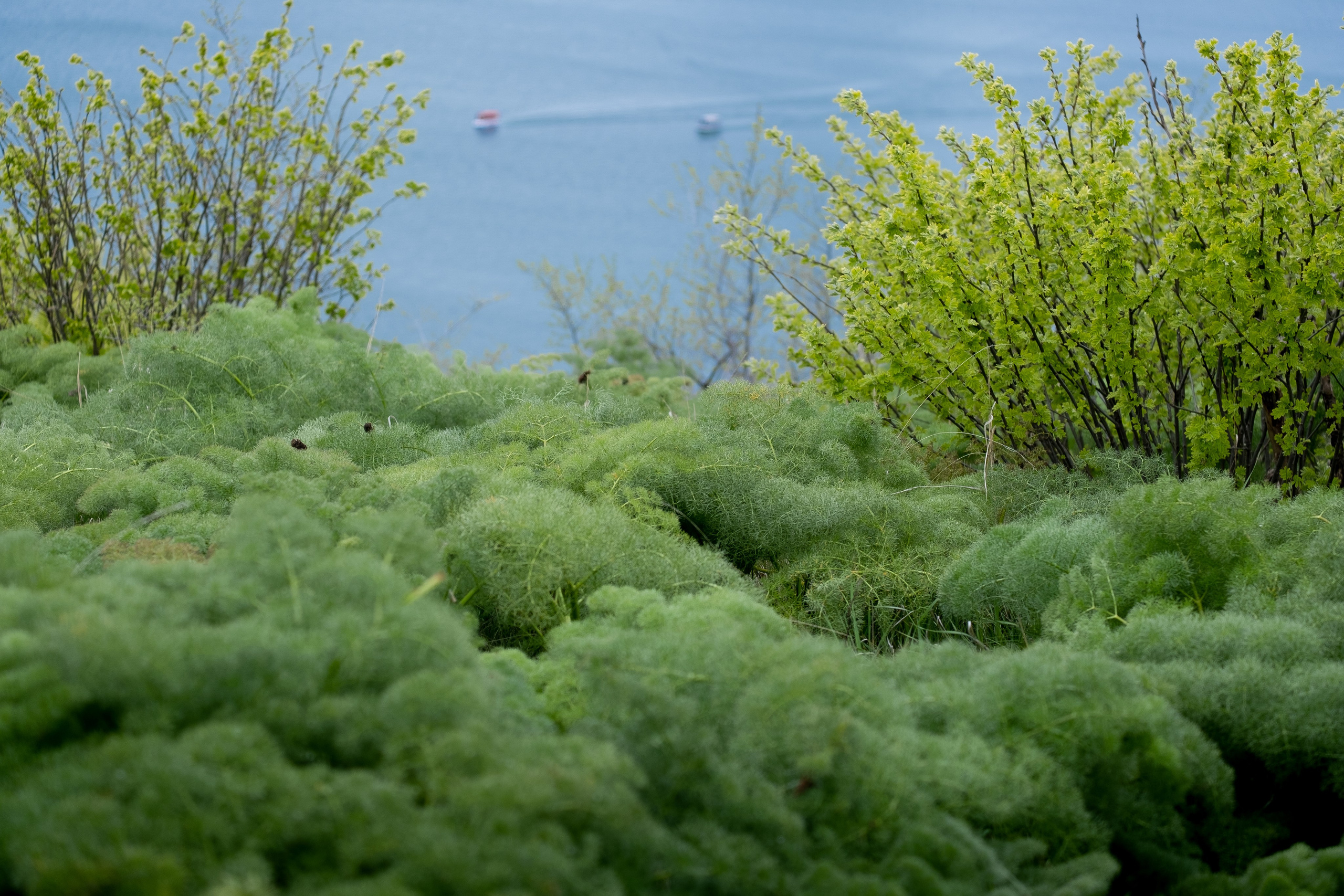 АРМЕНИЯ. ПОБУДЬ ЗДЕСЬ И ЦЕЛЕЕ БУДЕТ ЭТОТ МИР