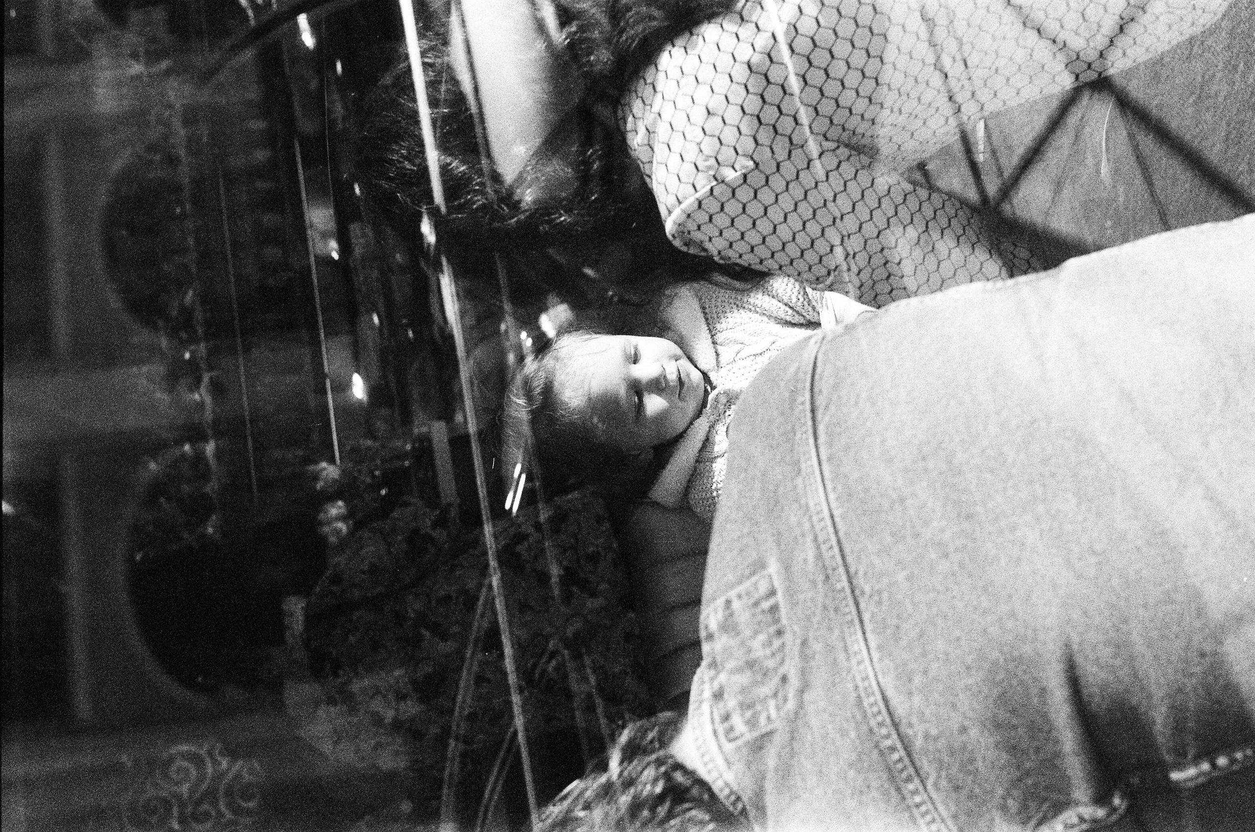 LIFE. Zheltokhov Egor