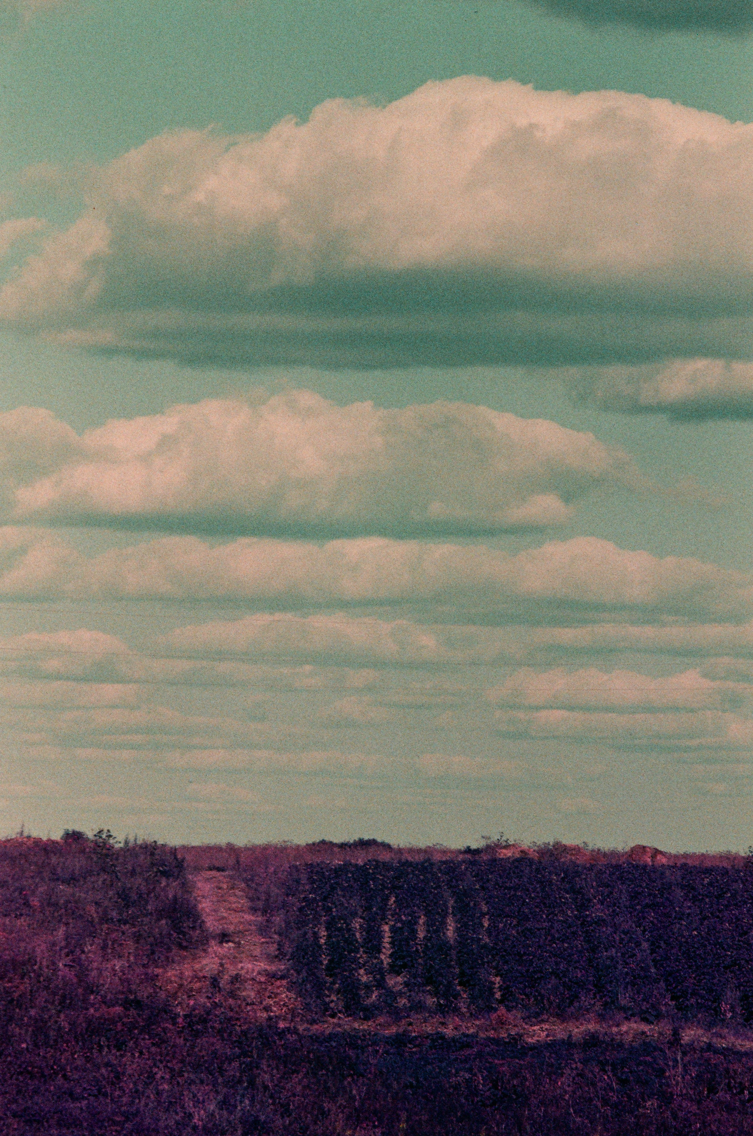Проект «Человек локальный.Русский Север». Репортажный фотограф в Санкт-Петербурге Евдокимова Ольга