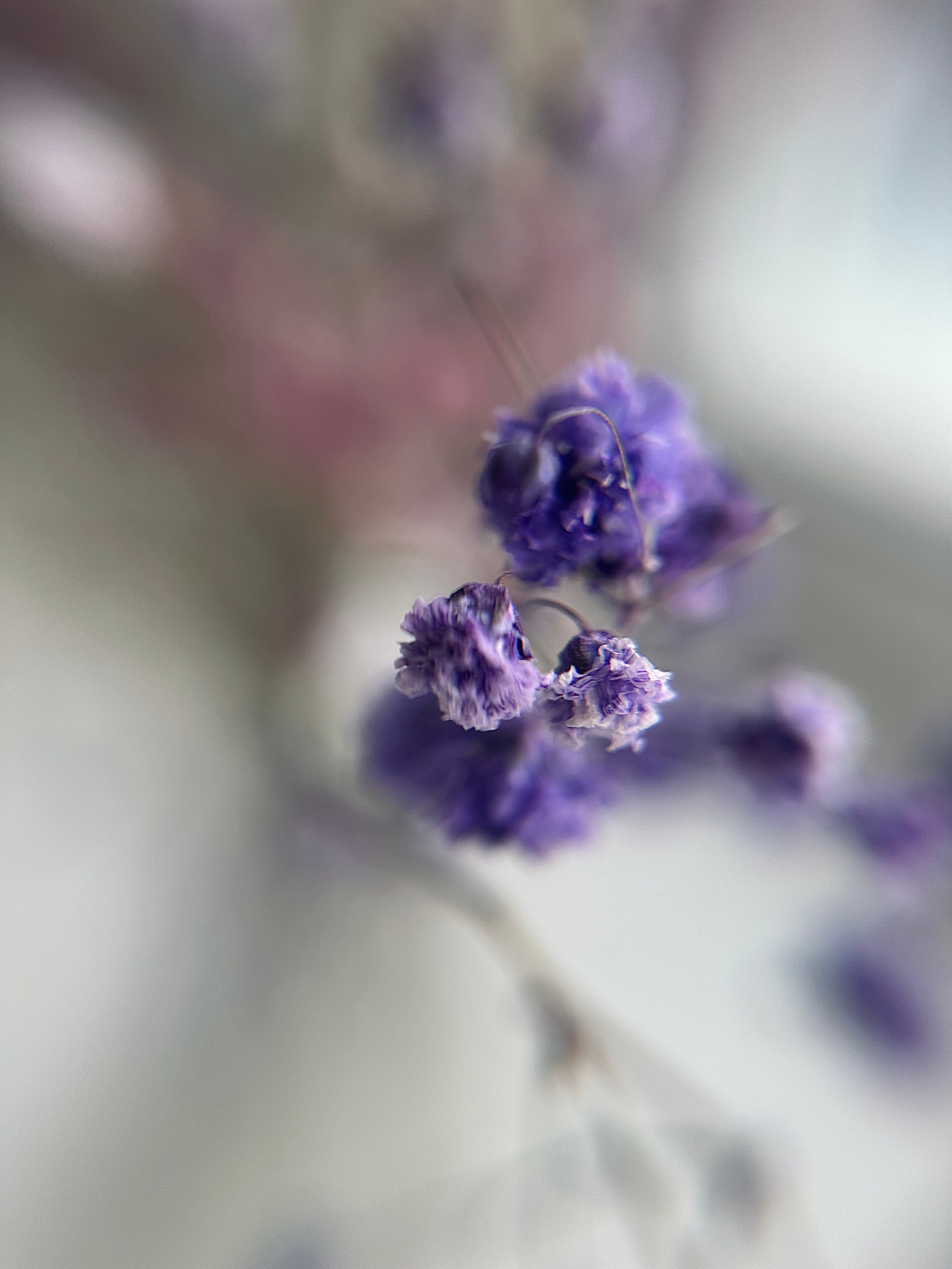 Мобильная фотография