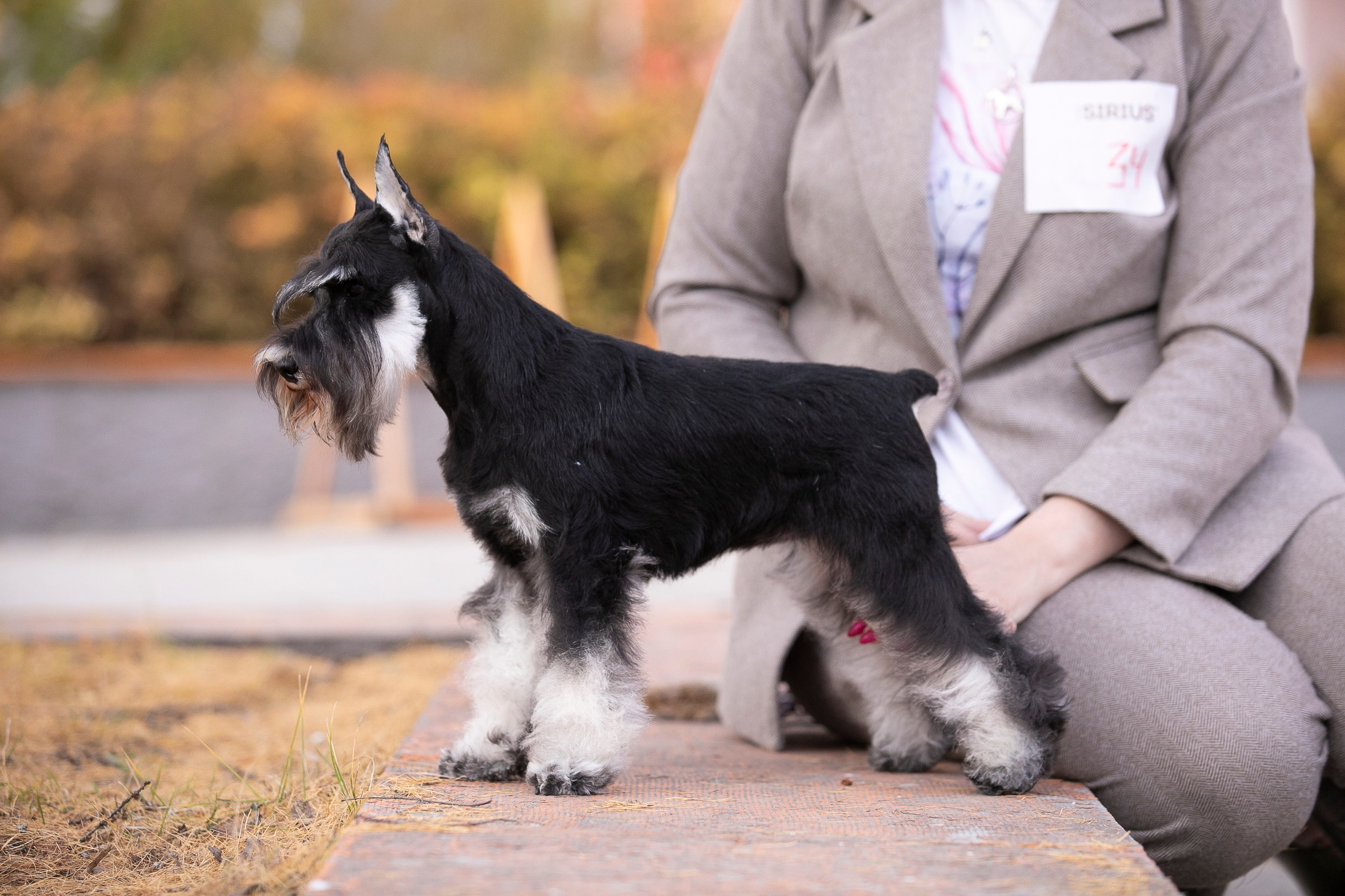Авторские пресеты для обработки фото. Фотограф — видеограф Алиса Дружинина