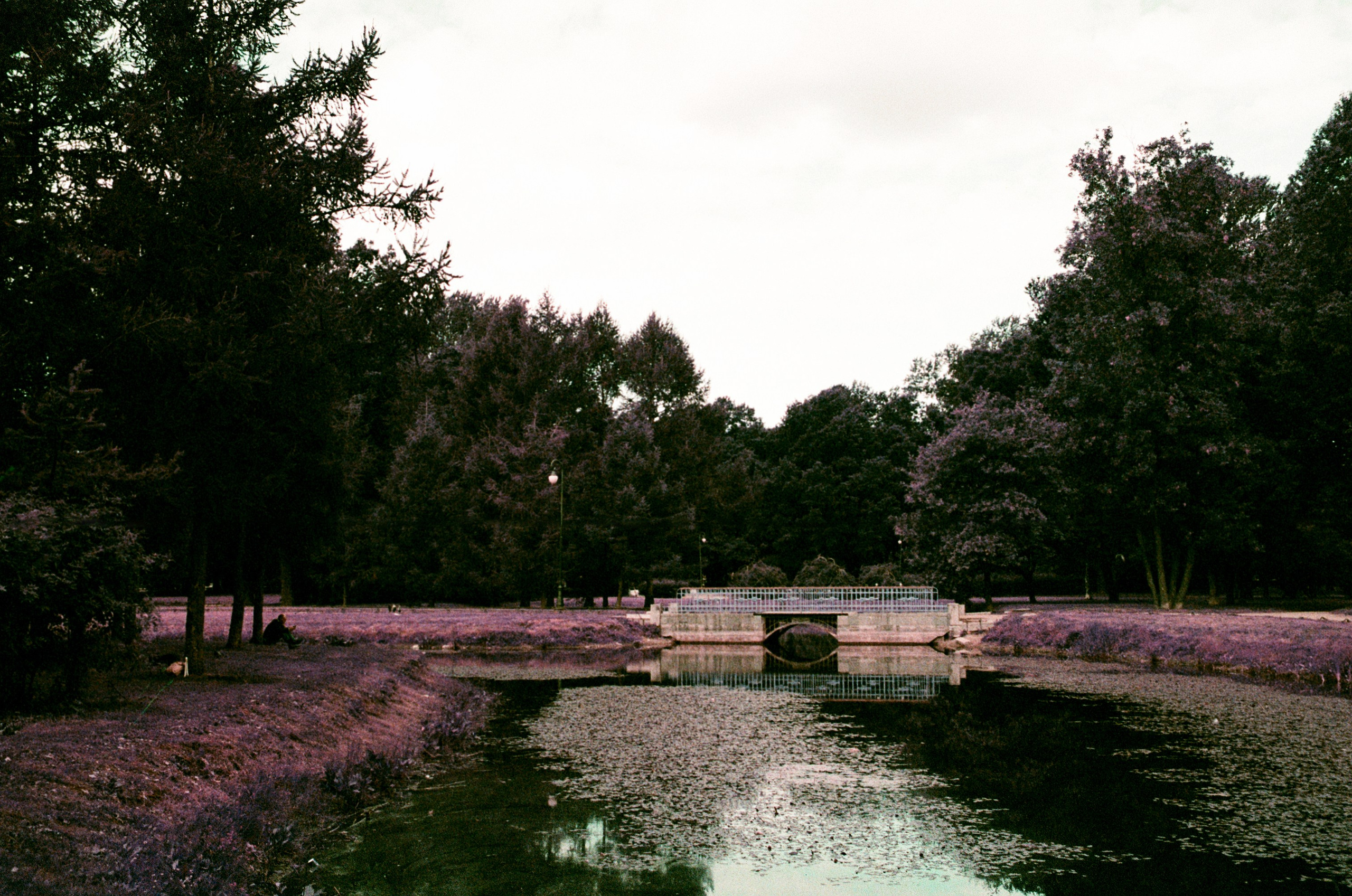 Lomochrome Purple. Варвара Цымбал