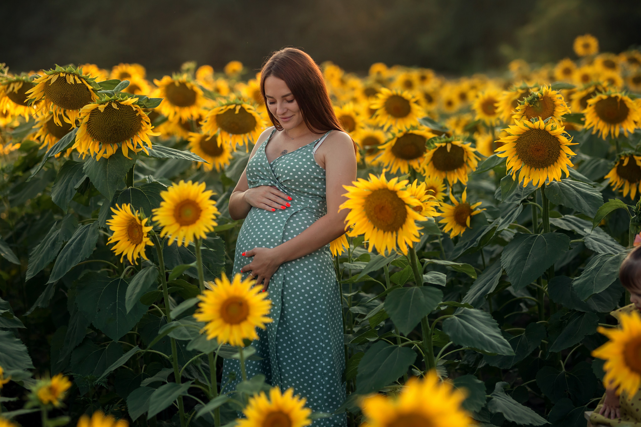 Подсолнухи. Семейный и детский фотограф Екатерина Савёлова