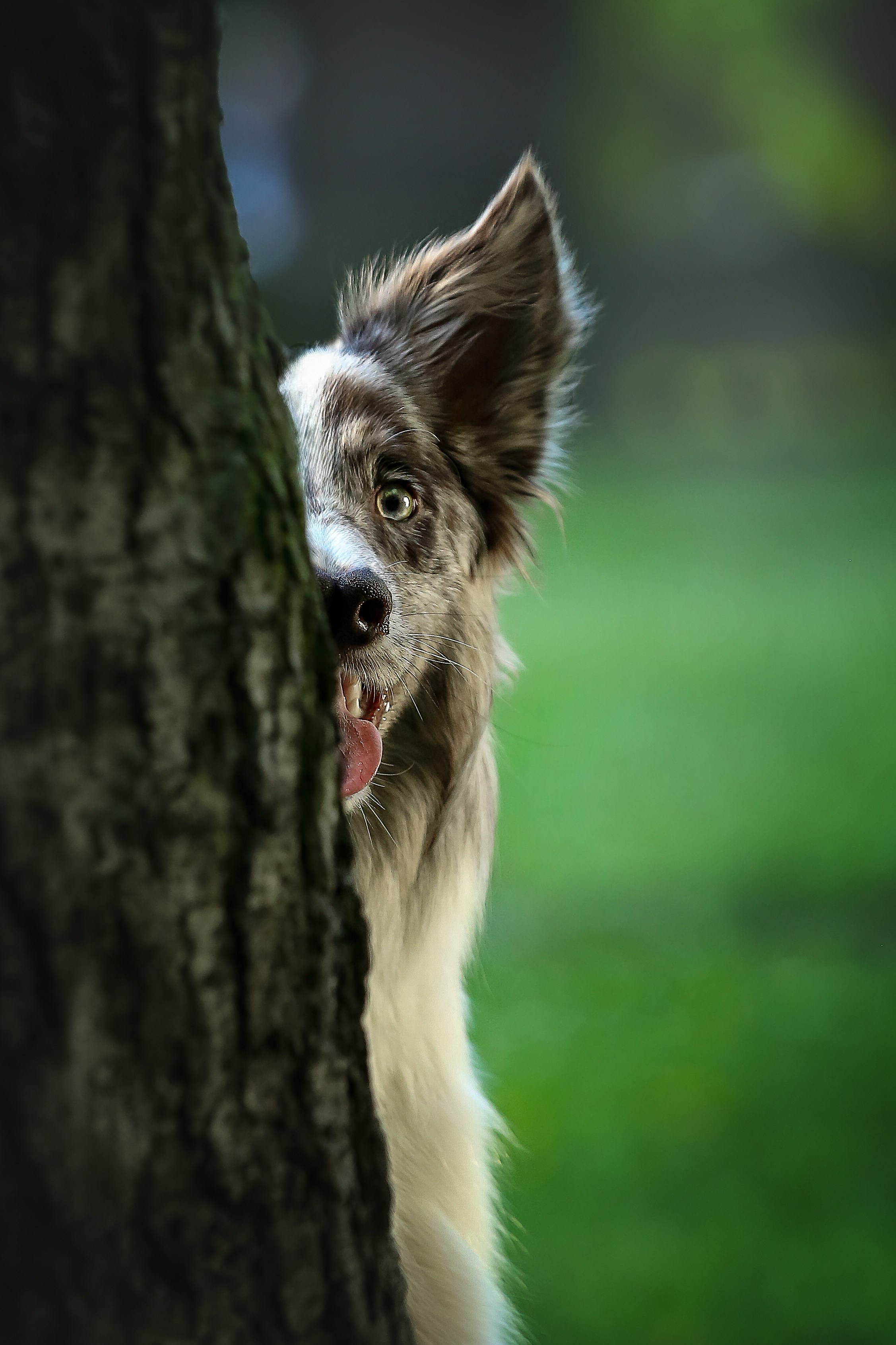 Прогулки. Главная