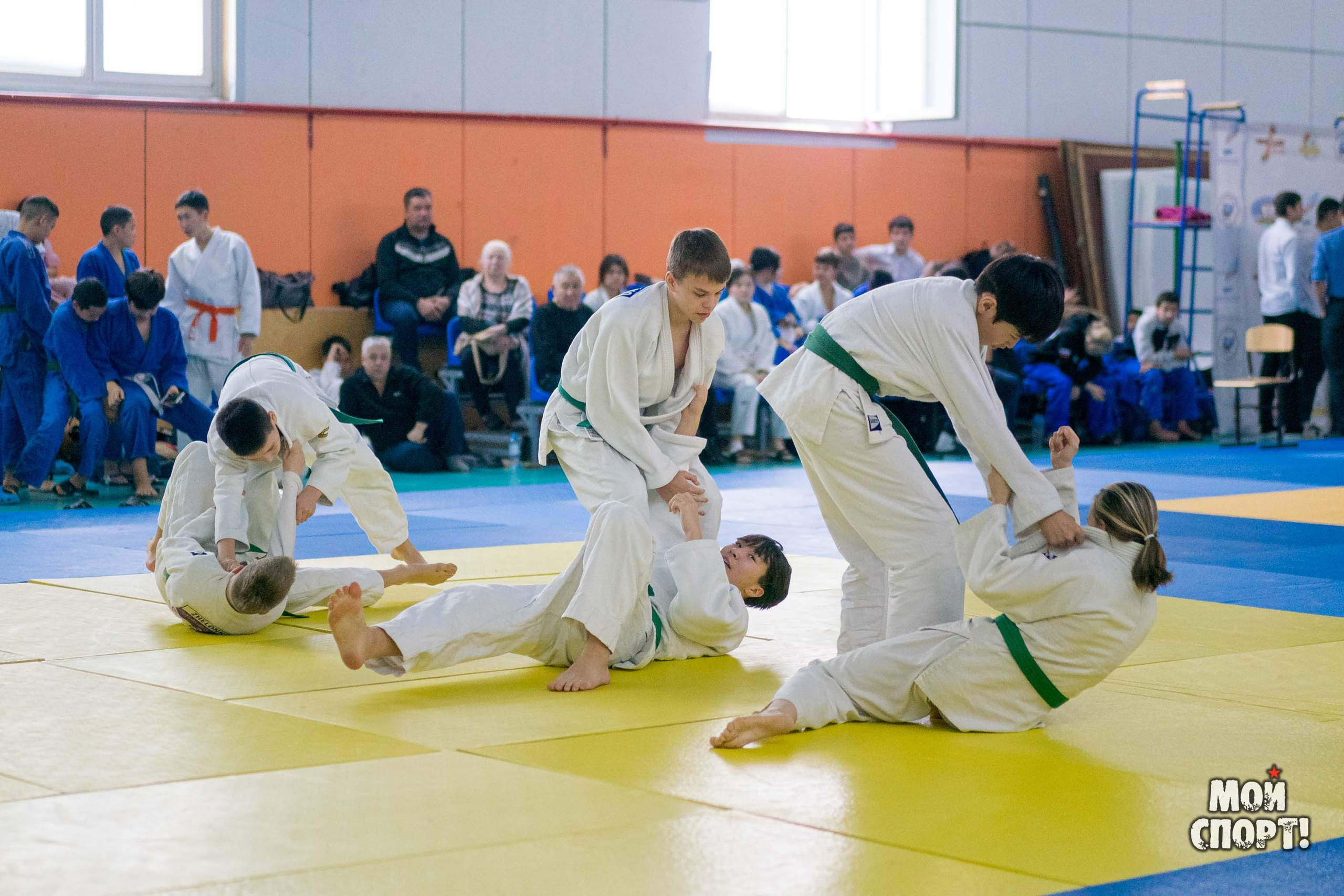 Кубок и первенство РС (Я) по дзюдо. Студия «Мой Спорт!» — все о спорте в Якутии