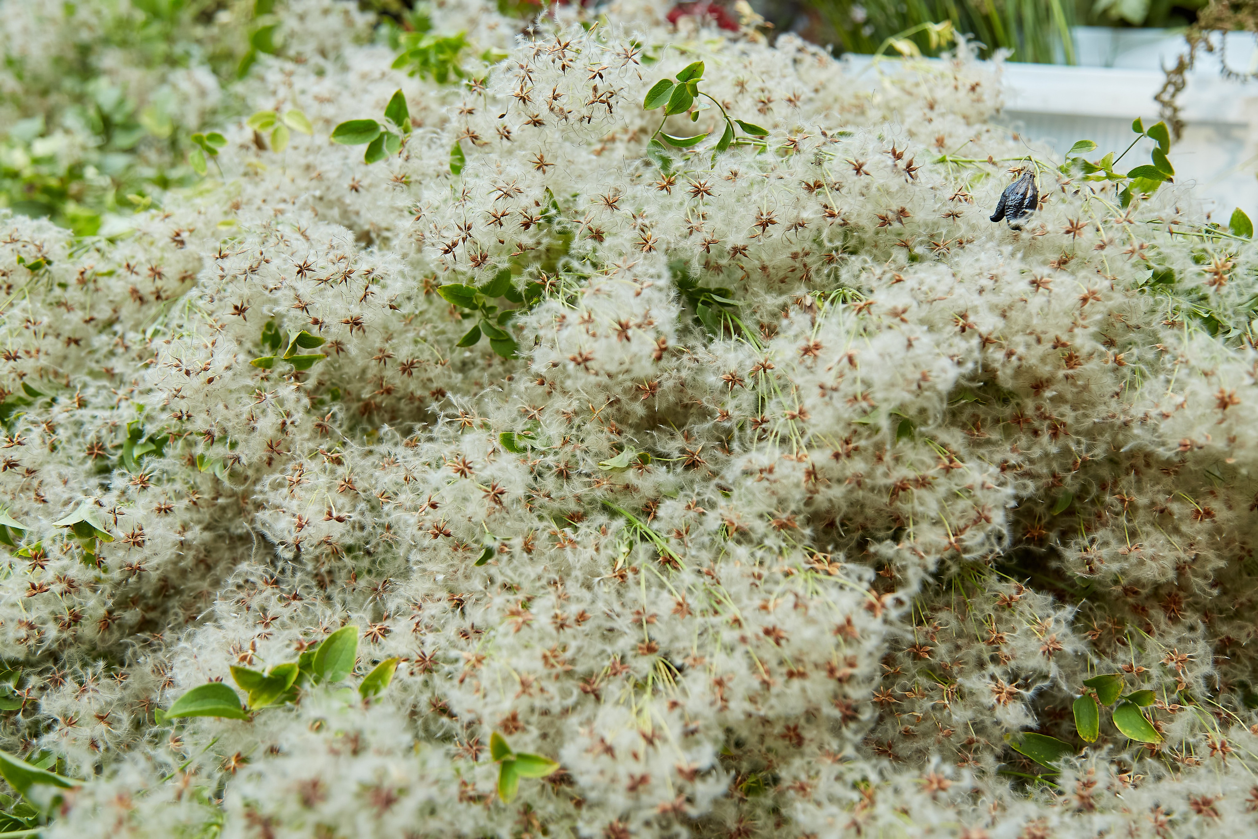 Ирина и мастер класс по декорации. Фотограф Барнаул Фатыхов Тимур