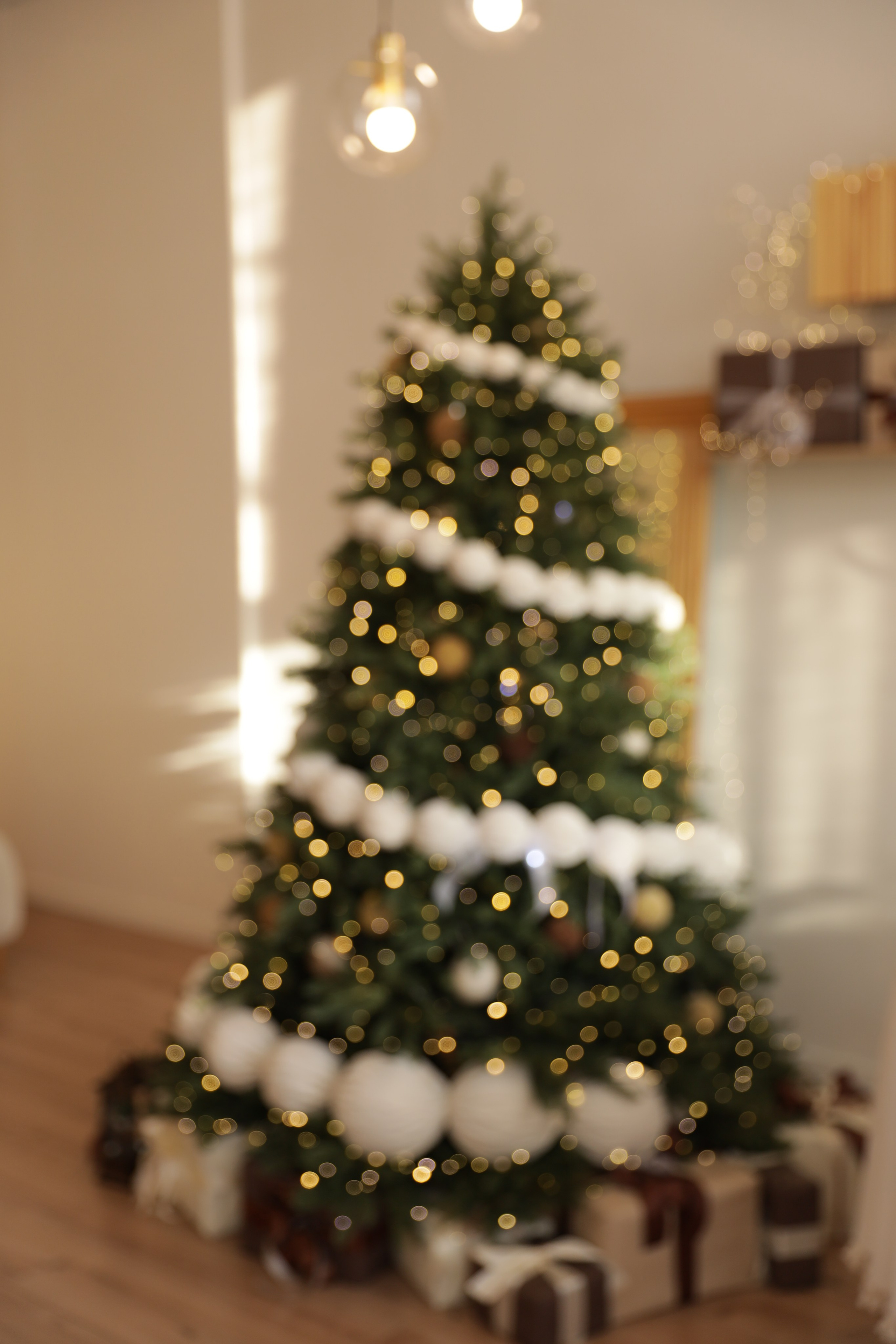 Фотостудия Роял зал «Сканди». Свадебный фотограф в Ростове Александра Груздева