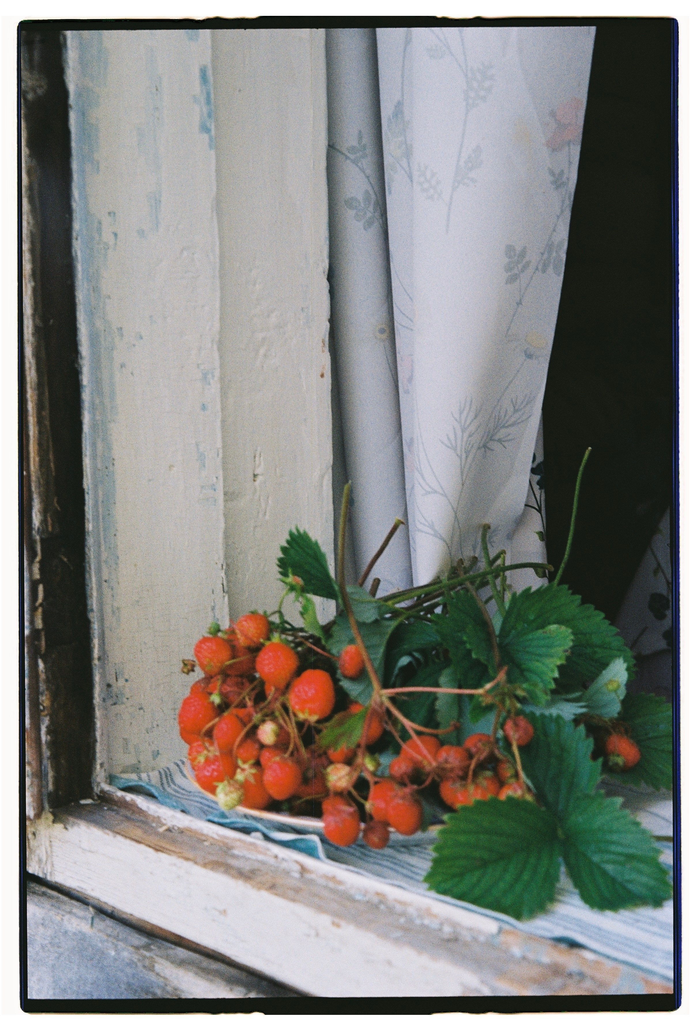 Диана и Саша, свадьба на даче. Фотограф любви в городе Казань
