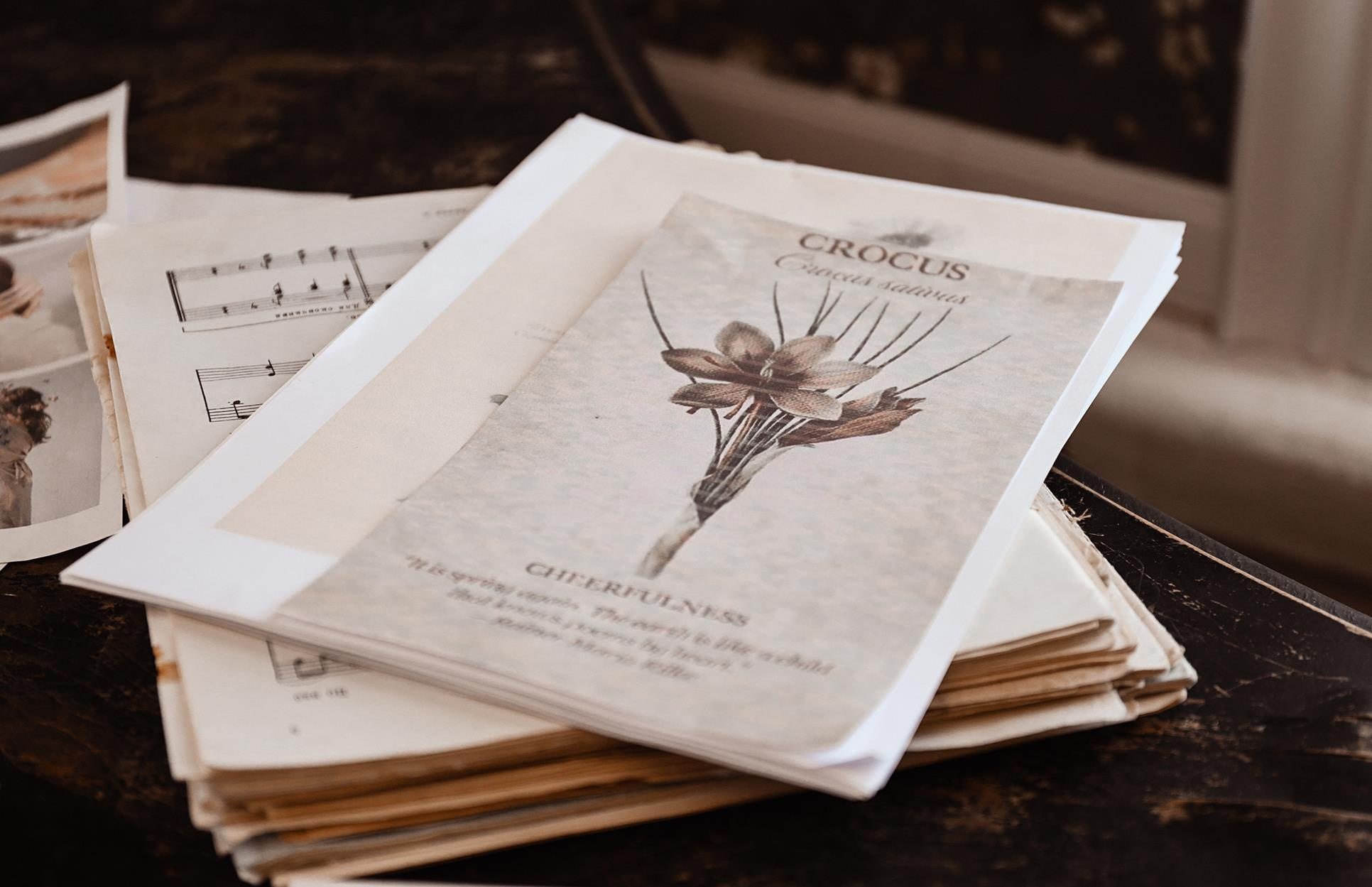 Швея. Алина Малышева, свадебный и семейный фотограф Москва