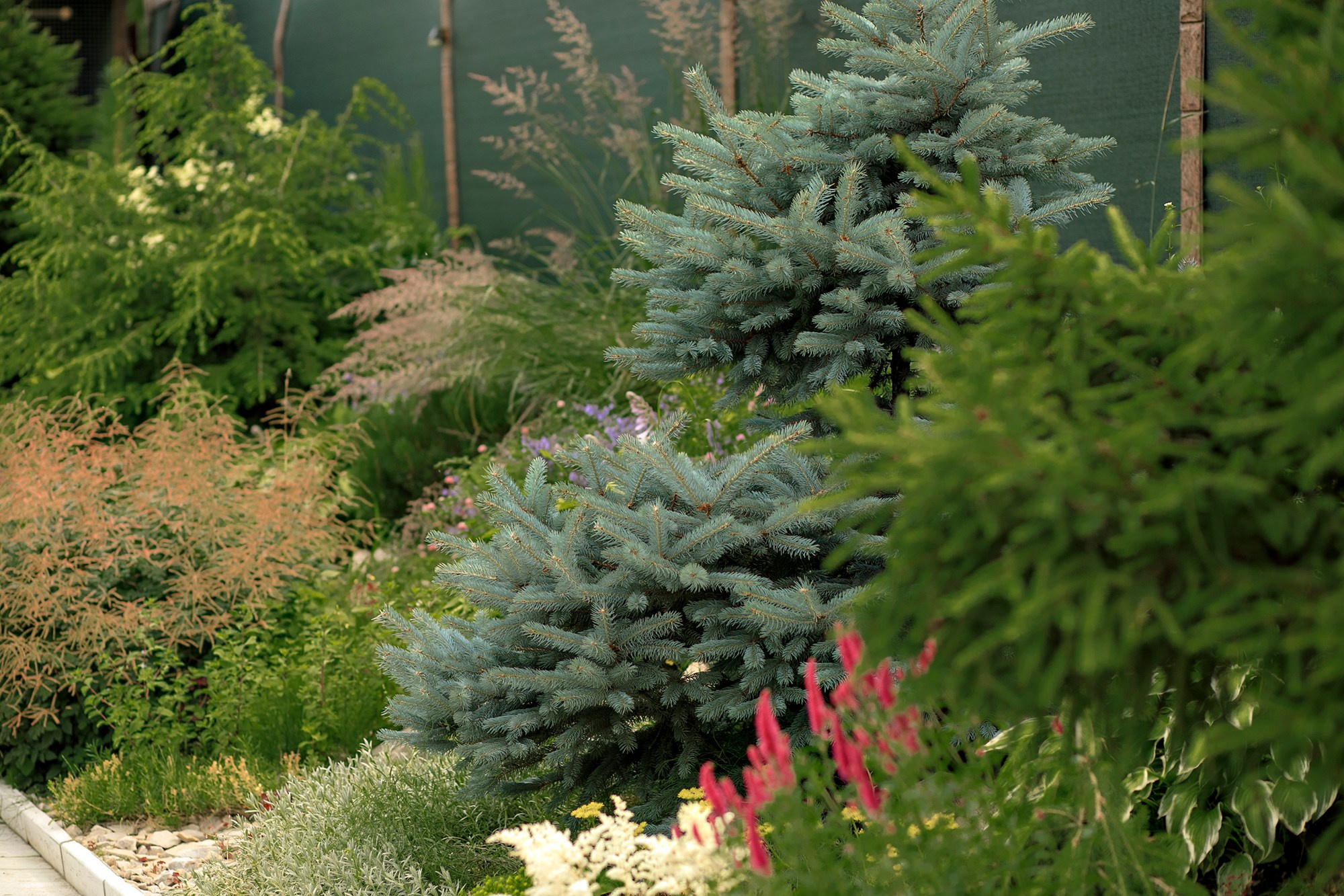 Парк-заповедник Купидон. Семейный фотограф в Димитровграде Елена Патрушева