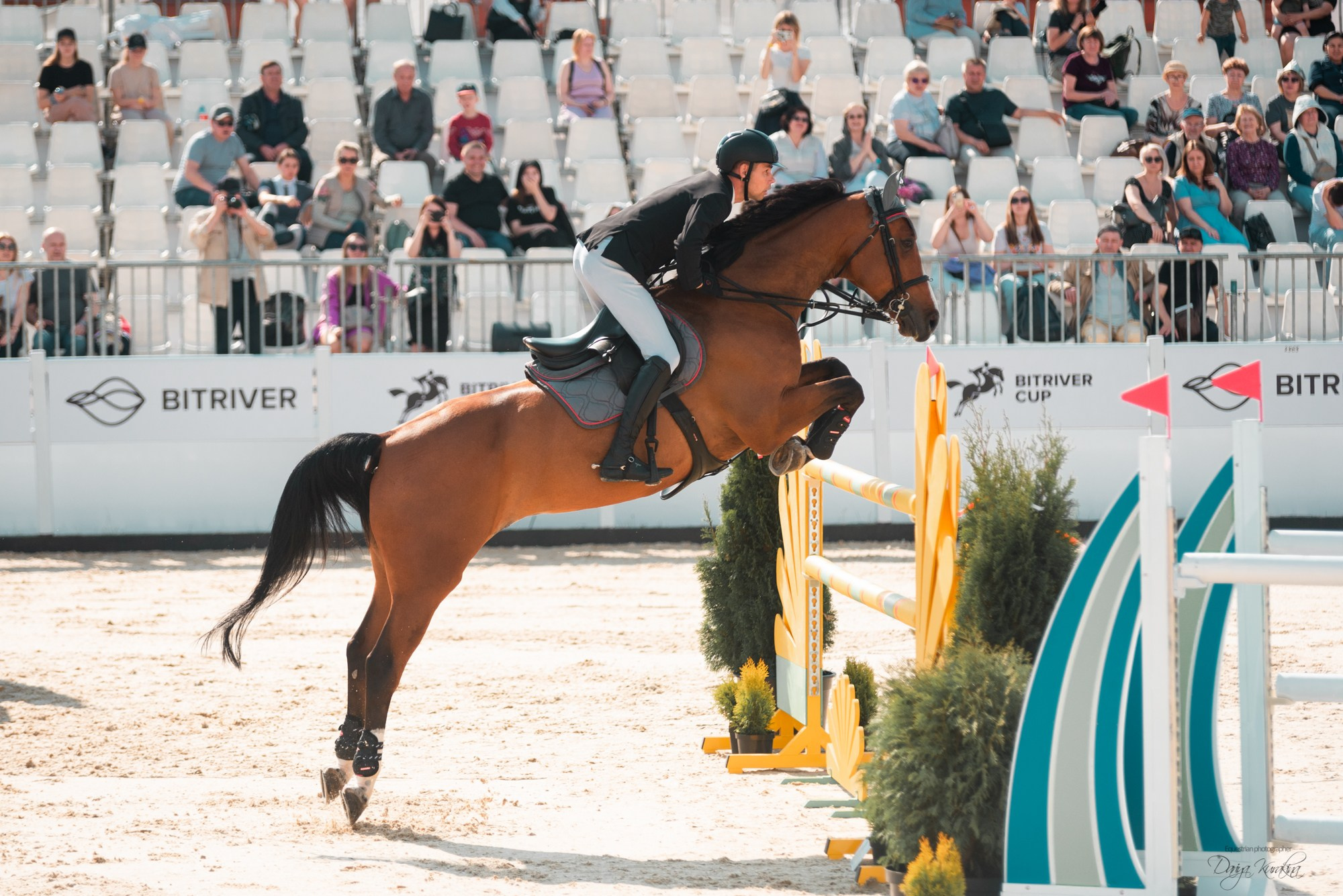 BITRIVER CUP 2023. Конный фотограф Куракина Дарья • Фотосессии с лошадьми