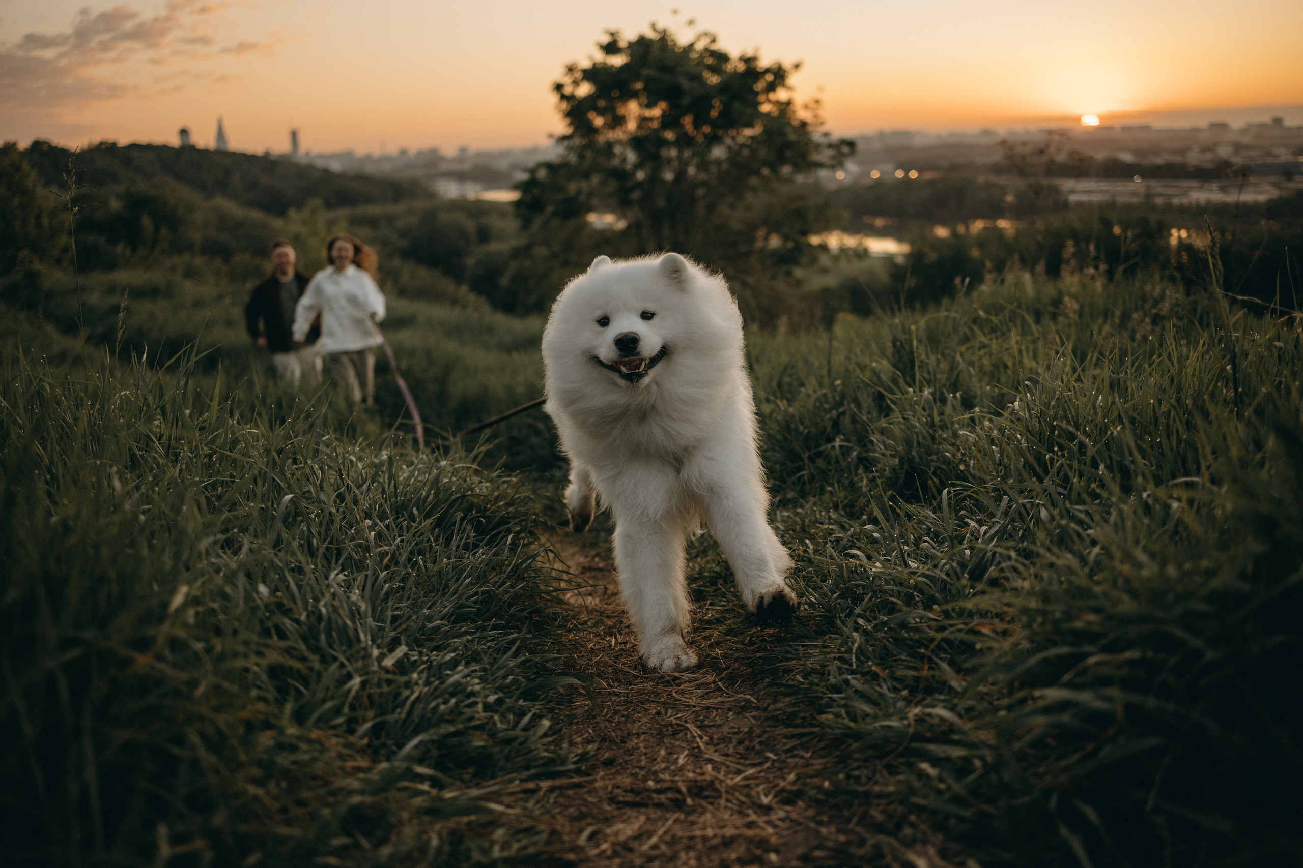 Танго и его семья. Фотограф — Анималист | Санкт-Петербург