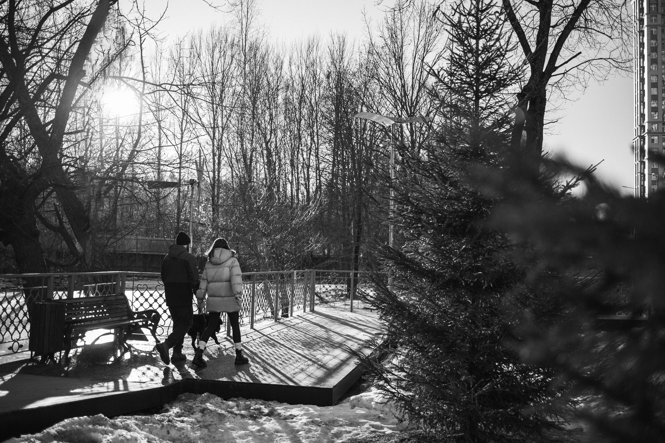 Таня и ее семья. Фотограф — Анималист | Санкт-Петербург