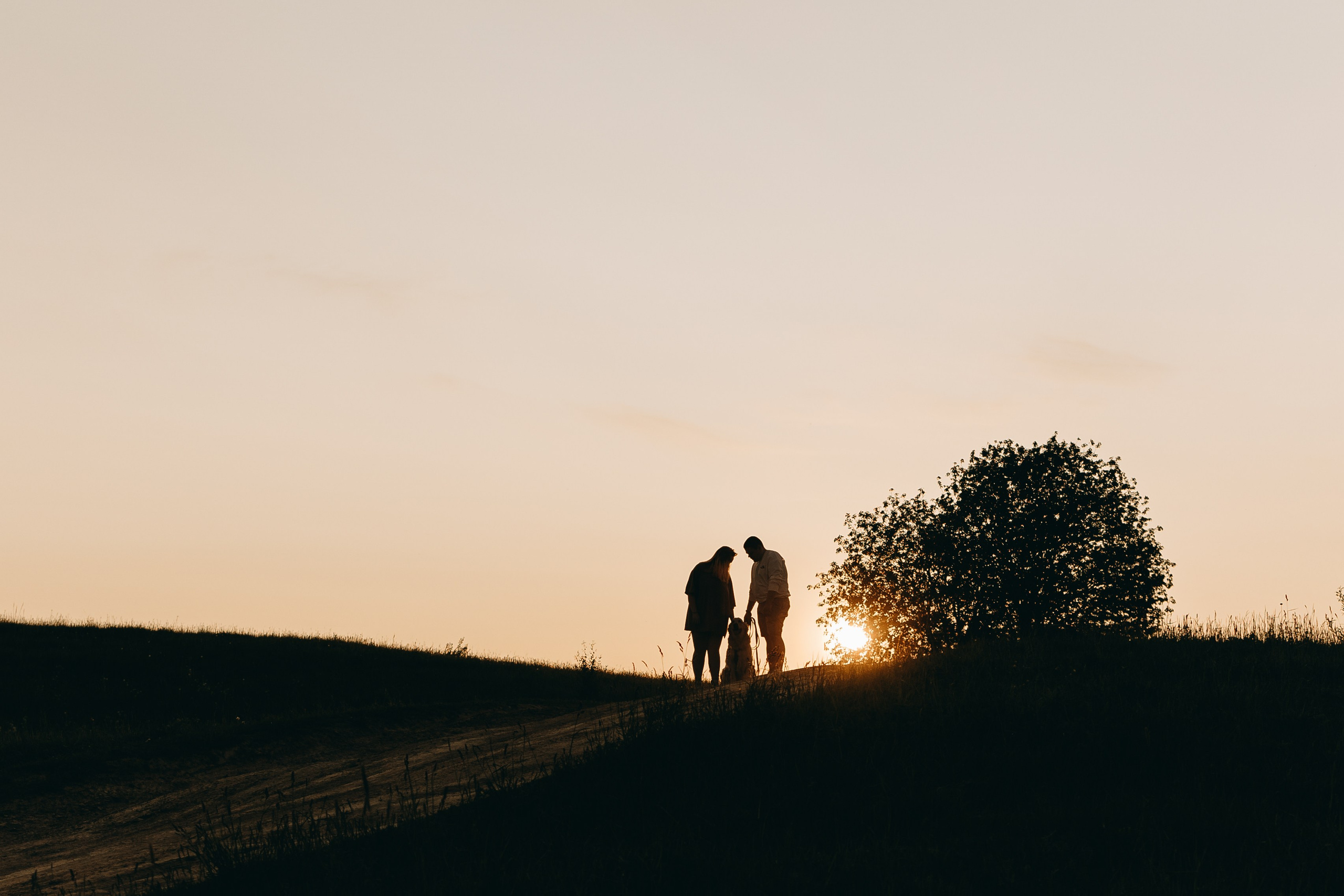 Милка и ребята. Фотограф — Анималист | Санкт-Петербург