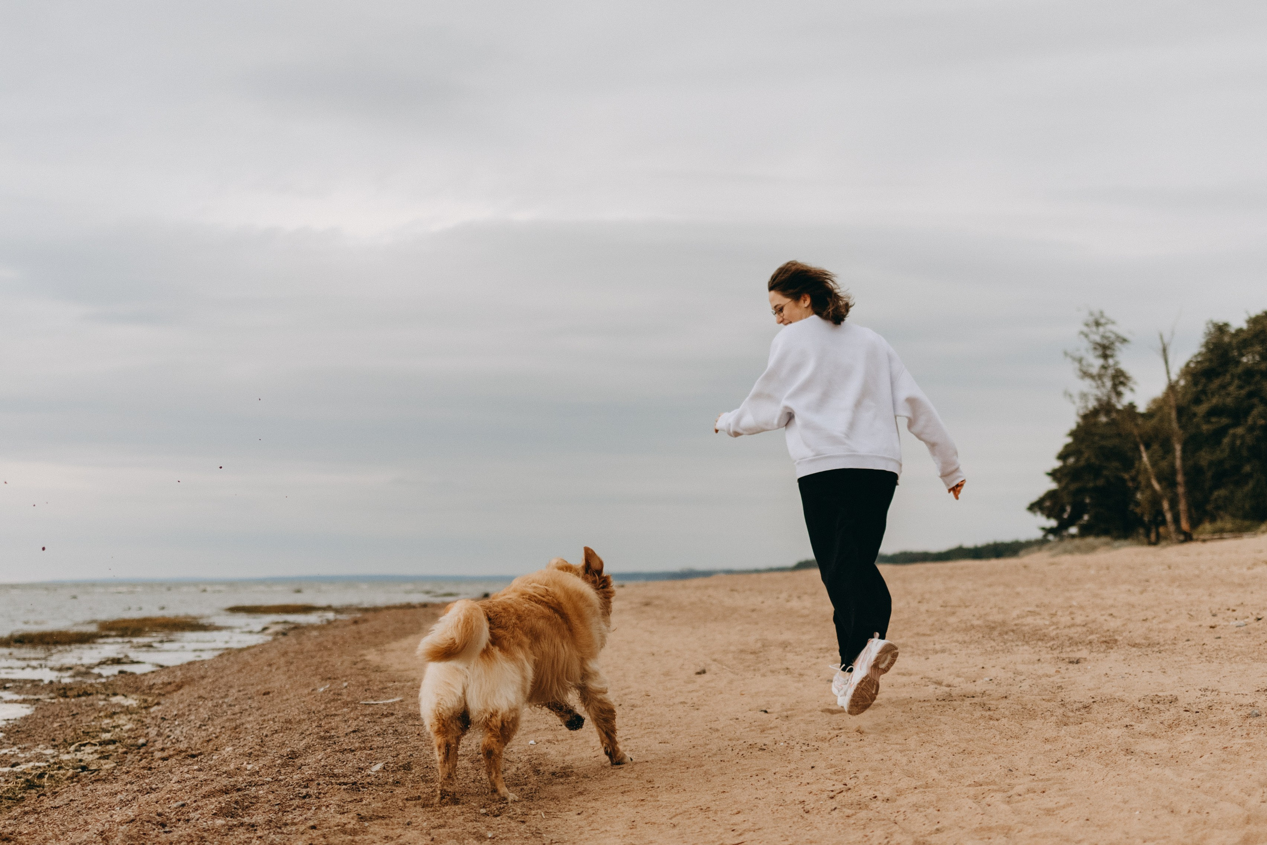 Фоси и его семьи. Фотограф — Анималист | Санкт-Петербург